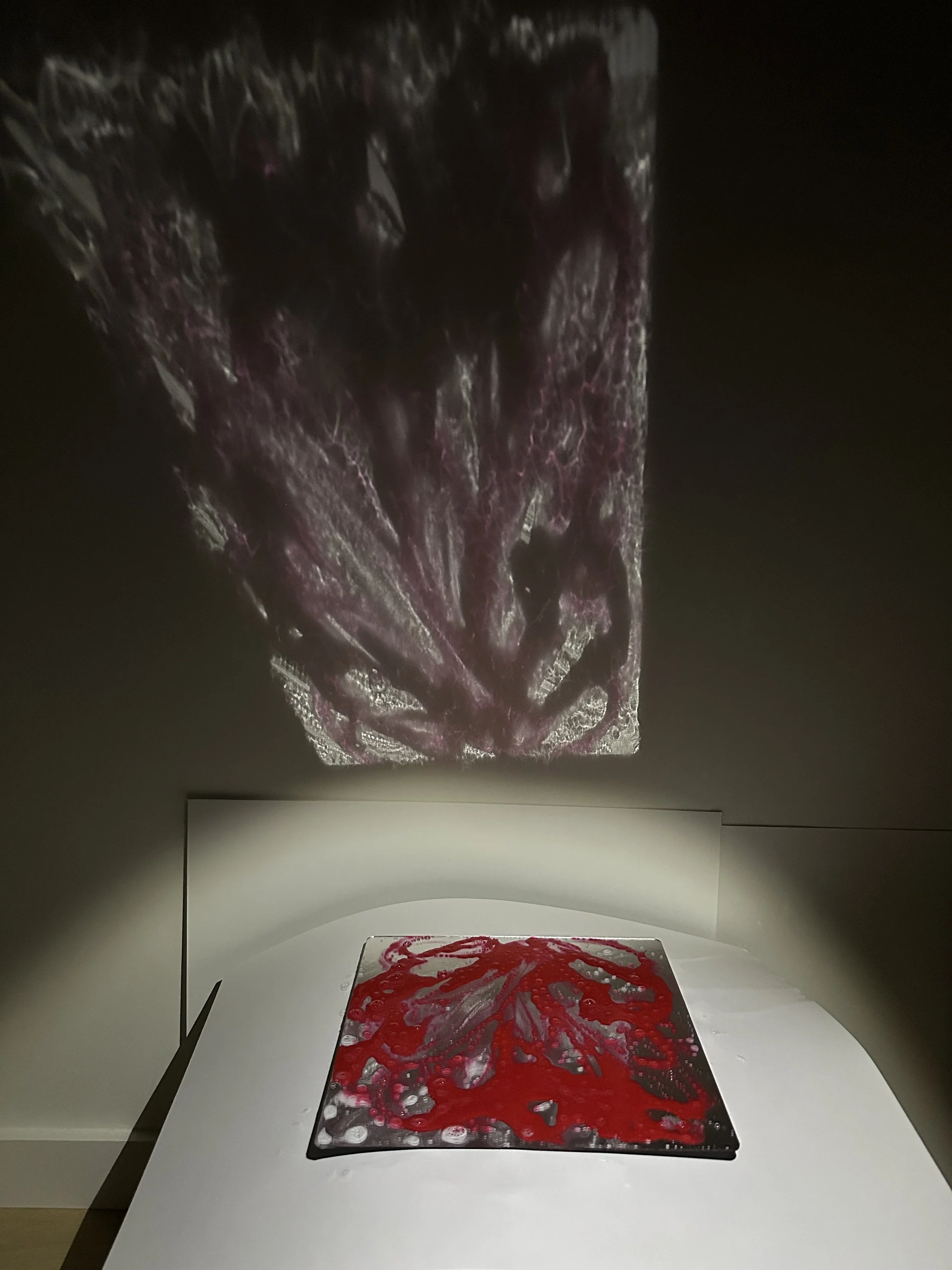 Art3_Bloom.jpg