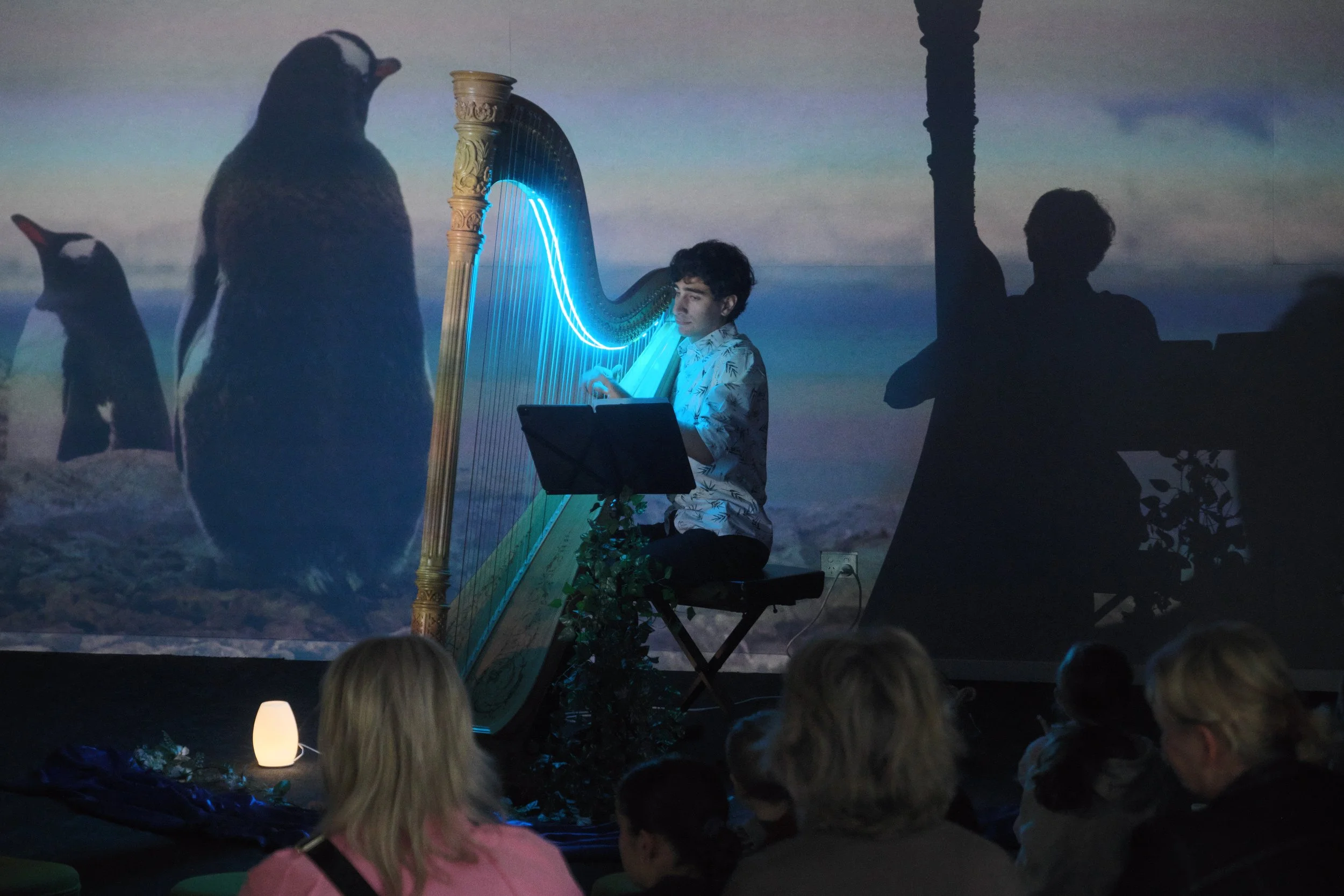 20250308b 020 OCMF Cultured - Elemental Resonance.jpg