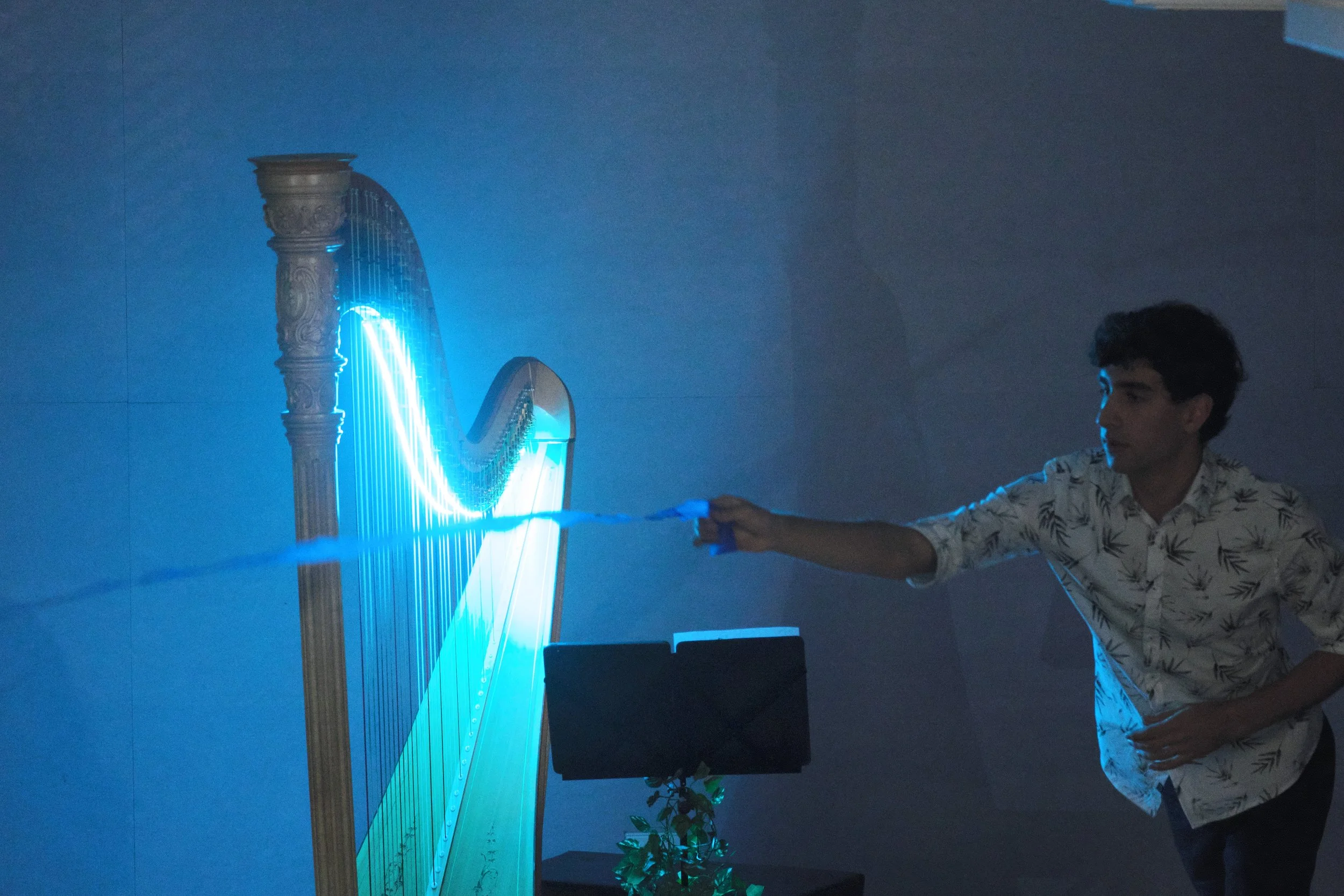 20250308b 047 OCMF Cultured - Elemental Resonance.jpg