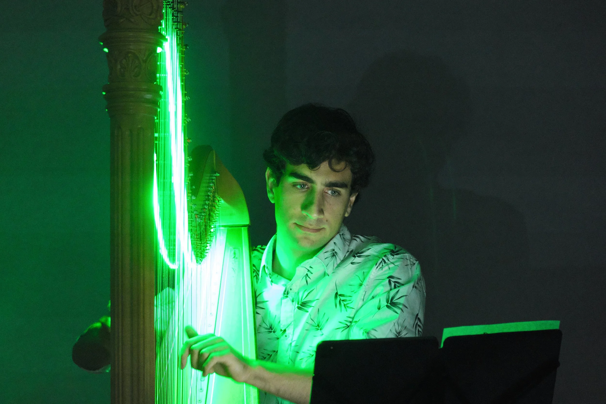 20250308b 011 OCMF Cultured - Elemental Resonance.jpg