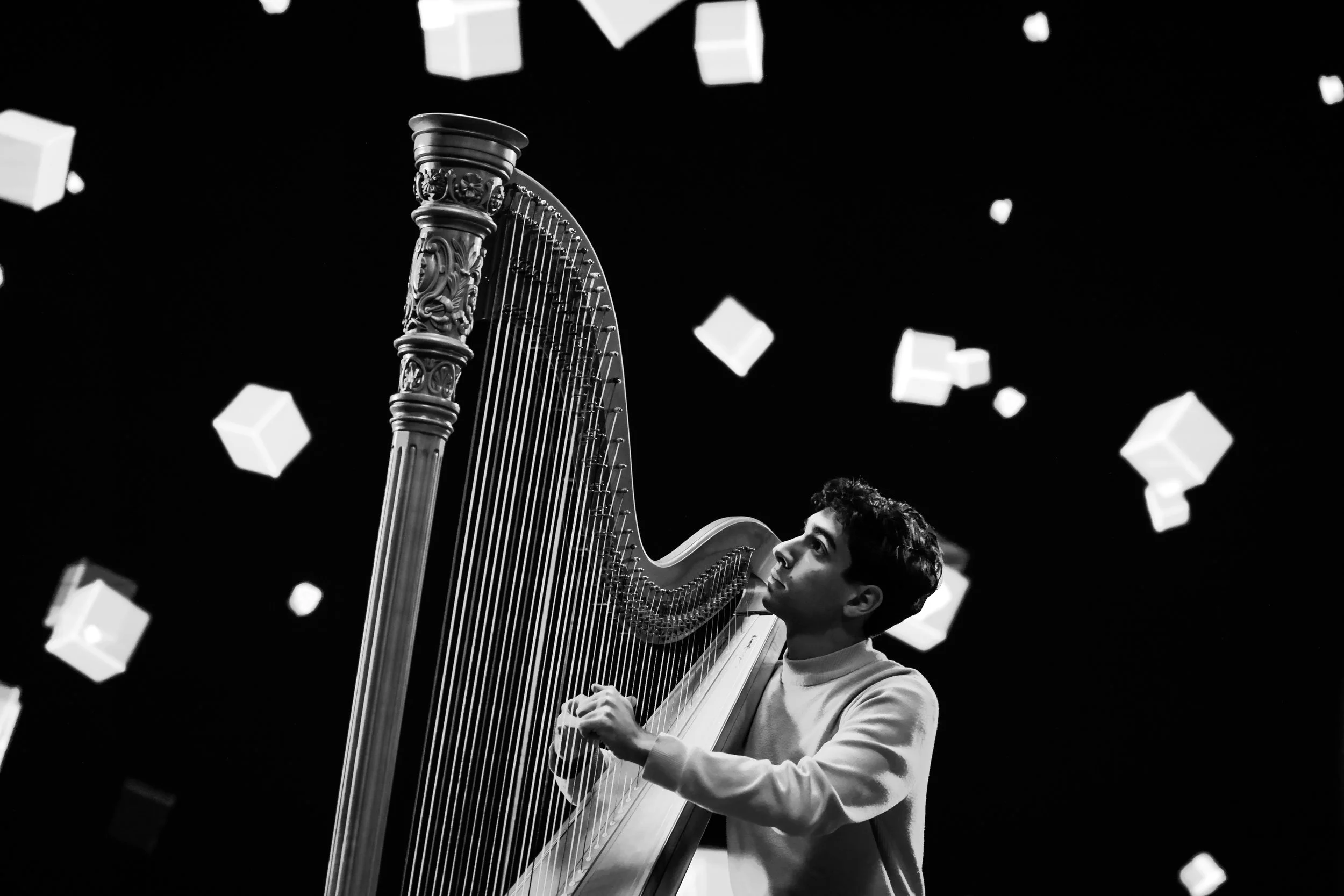 2024 AFTRS ART8-26135-2.jpg