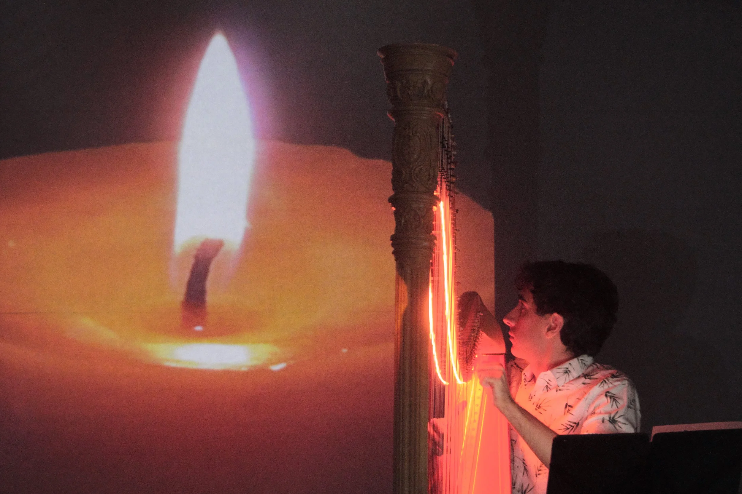 20250308b 037 OCMF Cultured - Elemental Resonance.jpg