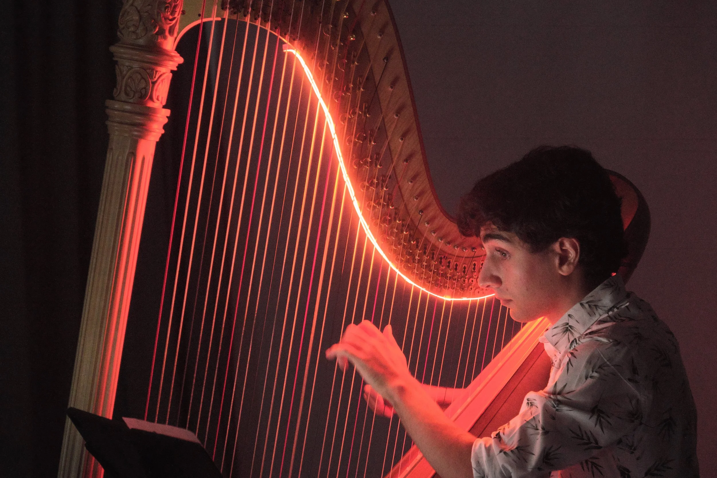 20250308b 029 OCMF Cultured - Elemental Resonance.jpg