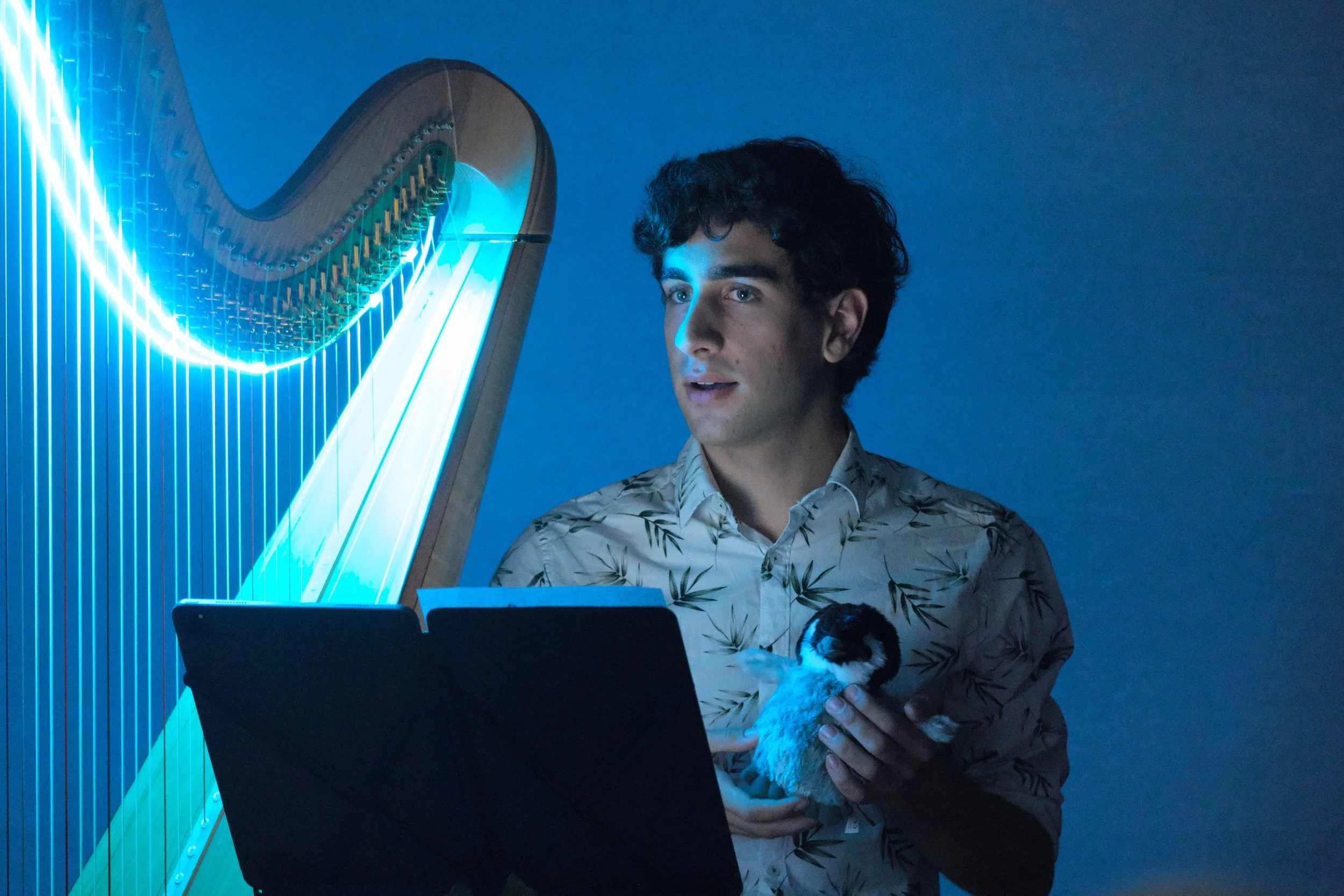 20250308b 017 OCMF Cultured - Elemental Resonance.jpg