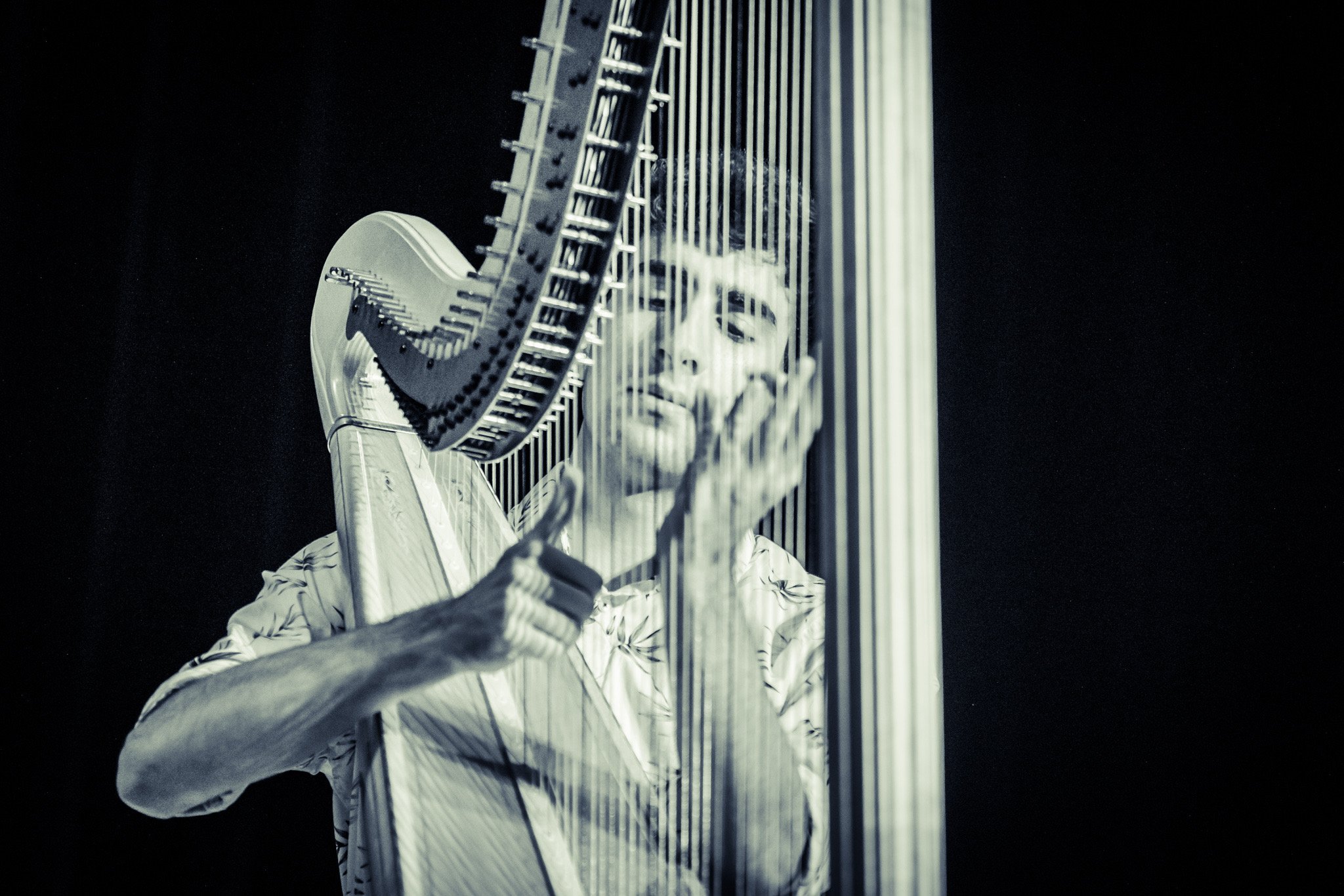 Photo by Brian Rapsey