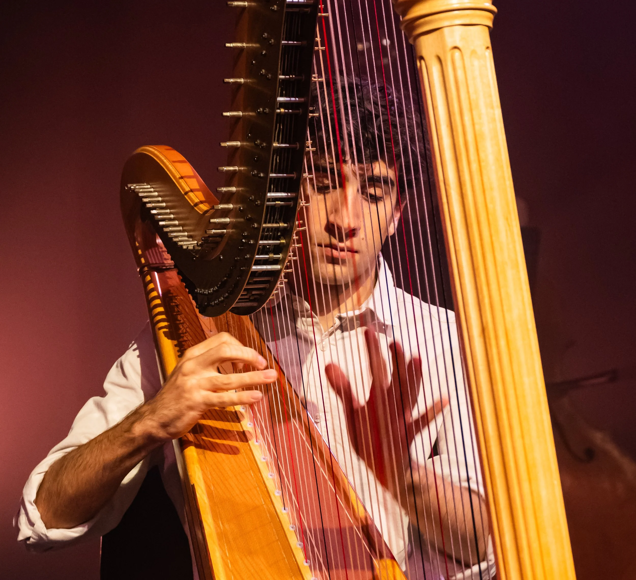 Photo by Reza Bagheri at New Point of View, courtesy of Australian Youth Orchestra