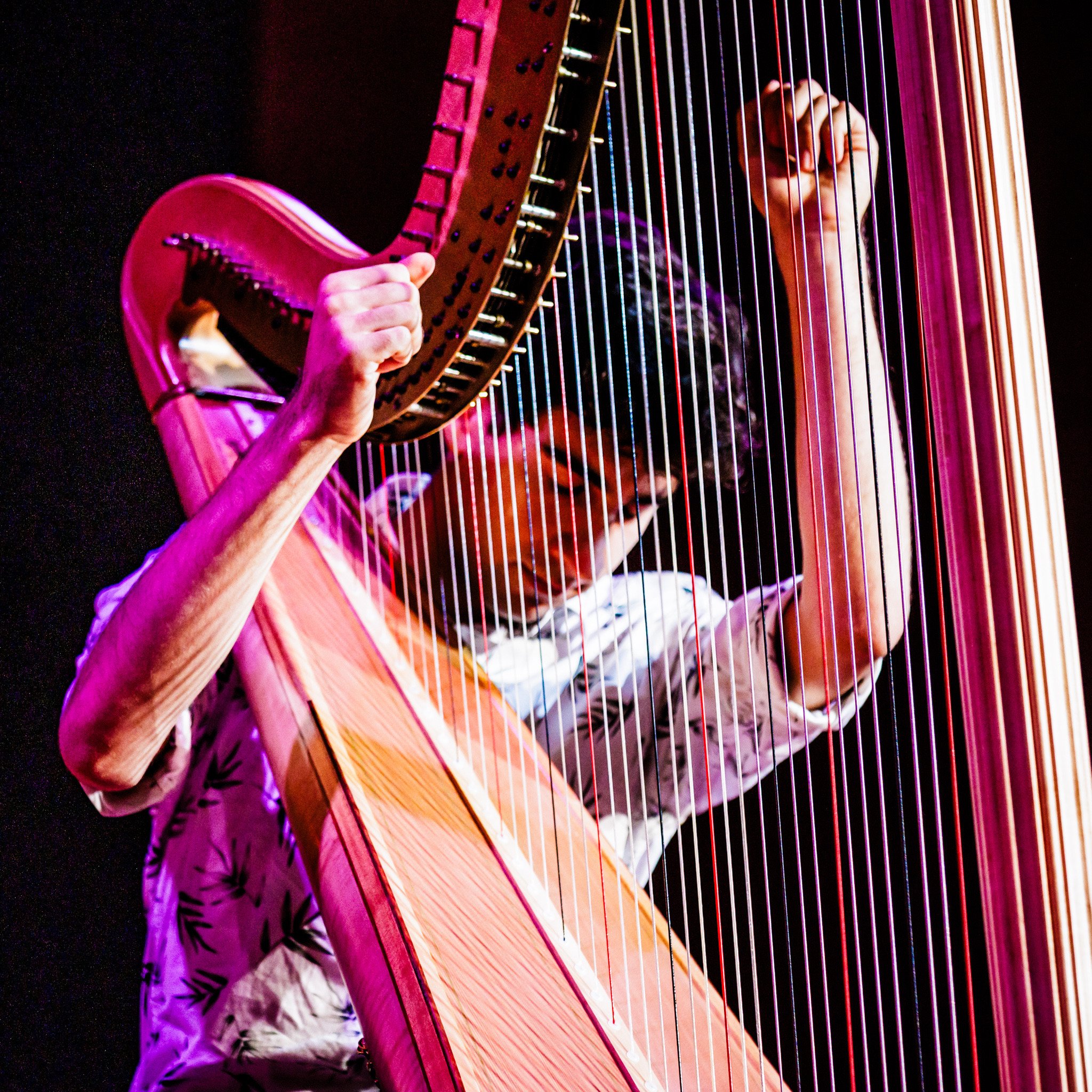 Photo by Brian Rapsey