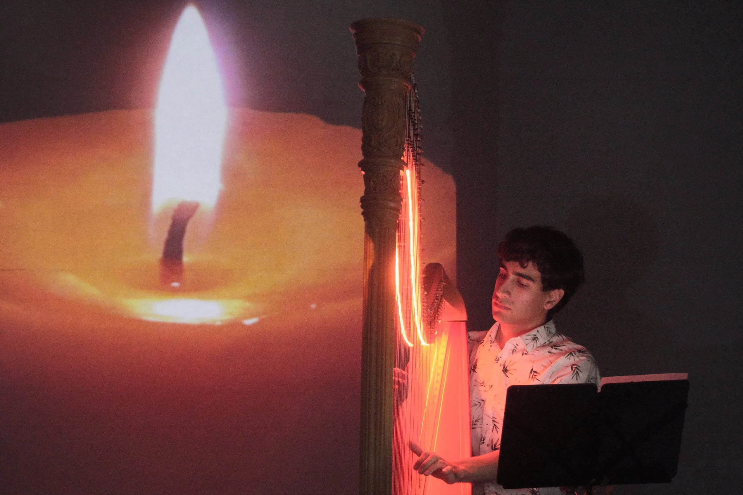 20250308b 036 OCMF Cultured - Elemental Resonance.jpg