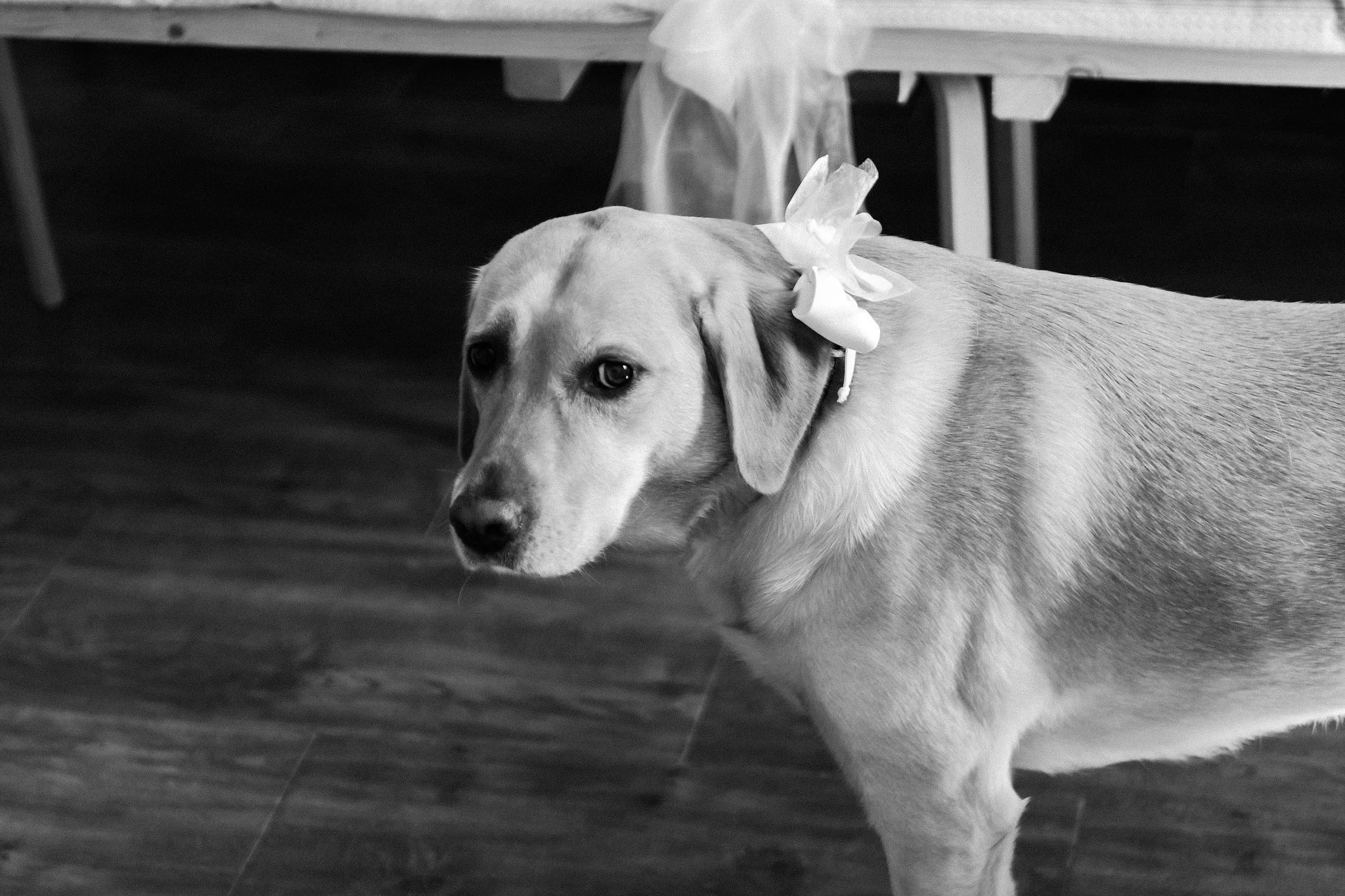 Tibor Mosko Svatba Alena 2.jpg