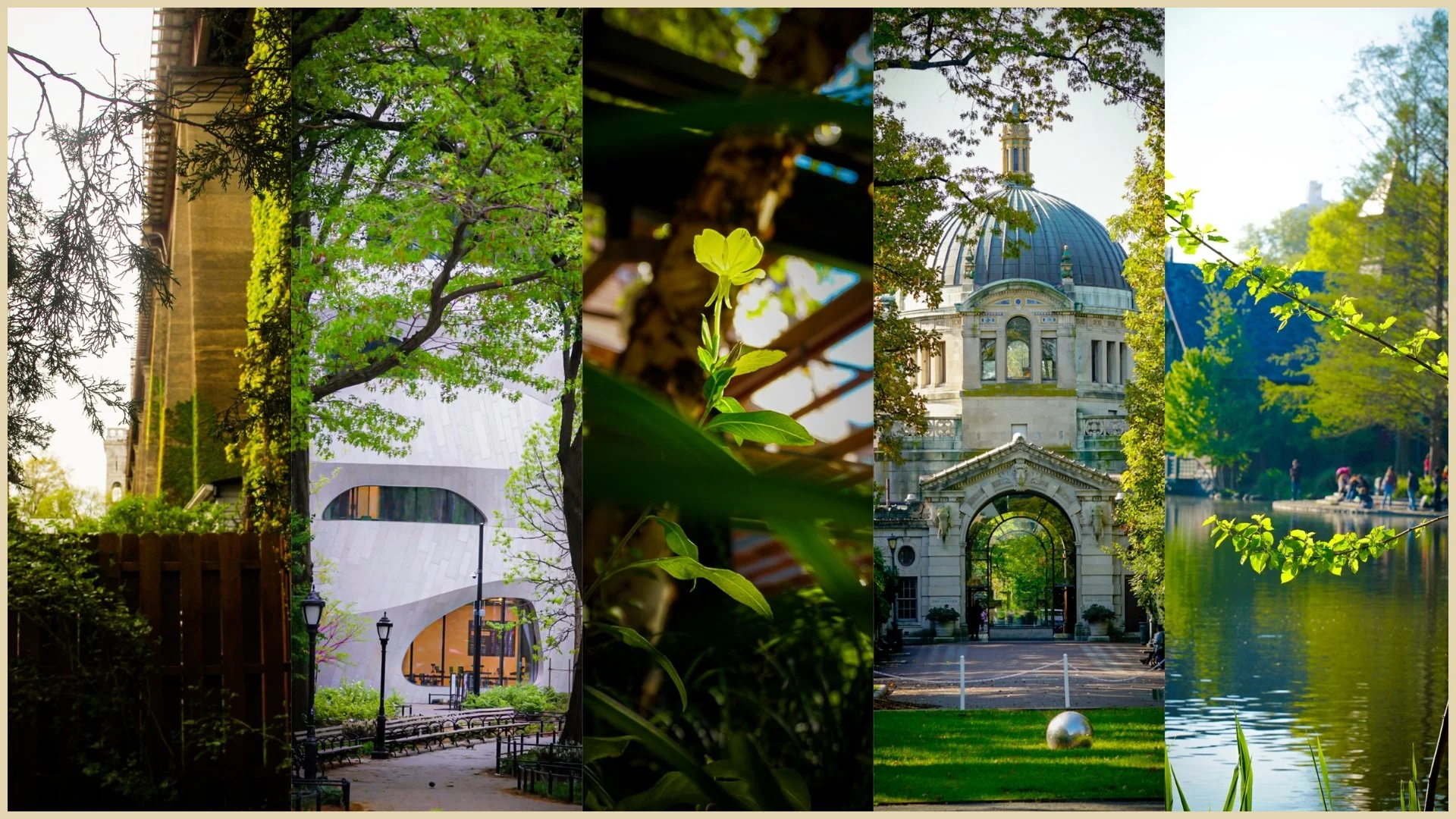 A collage of five different park scenes, including trees, a modern building, a blue-domed historic building, and a pond with reflections.