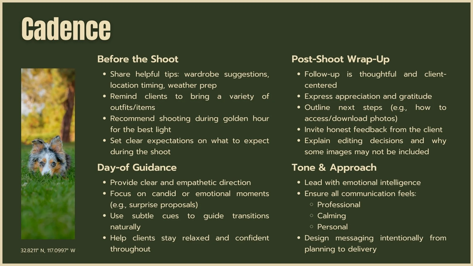 A green infographic poster with the title 'Cadence' providing tips on photography shoot preparations, guidance, post-shoot wrap-up, and approach, including tips for client interactions and settings for capturing photos of a dog outdoors.