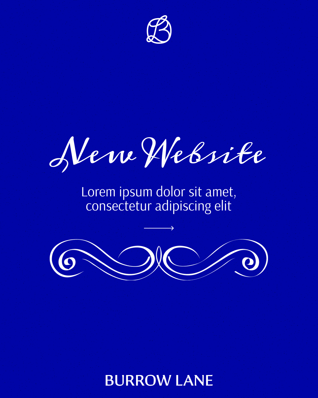 Quiz, website and directory launch-1.png