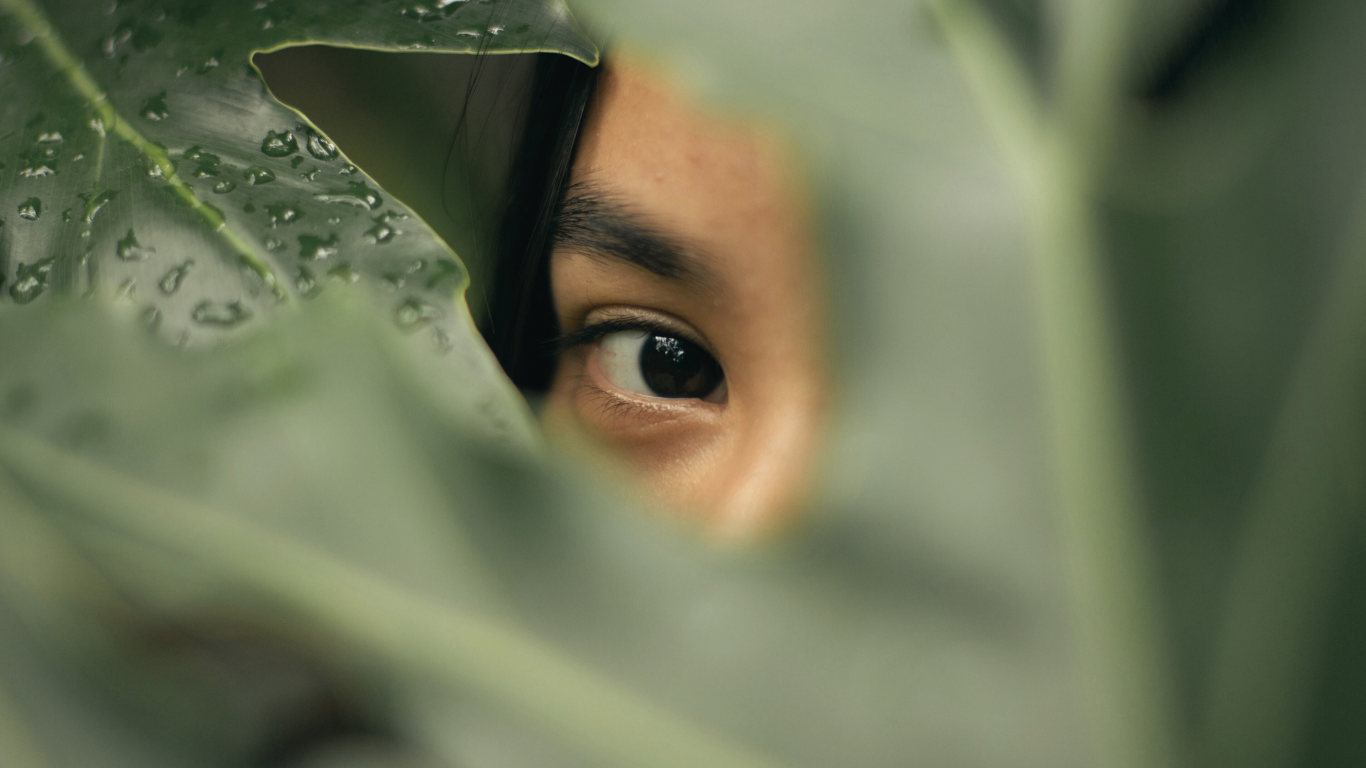 The Matrix vs the World of Awareness