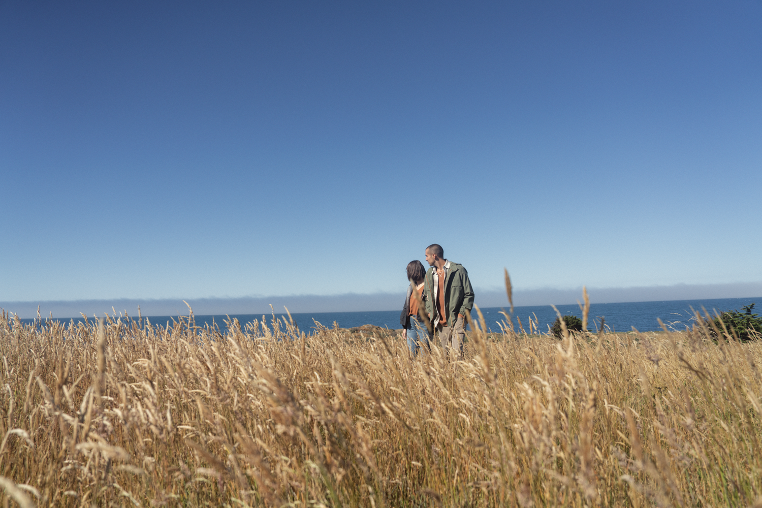 Campaign | Sea Ranch, CA