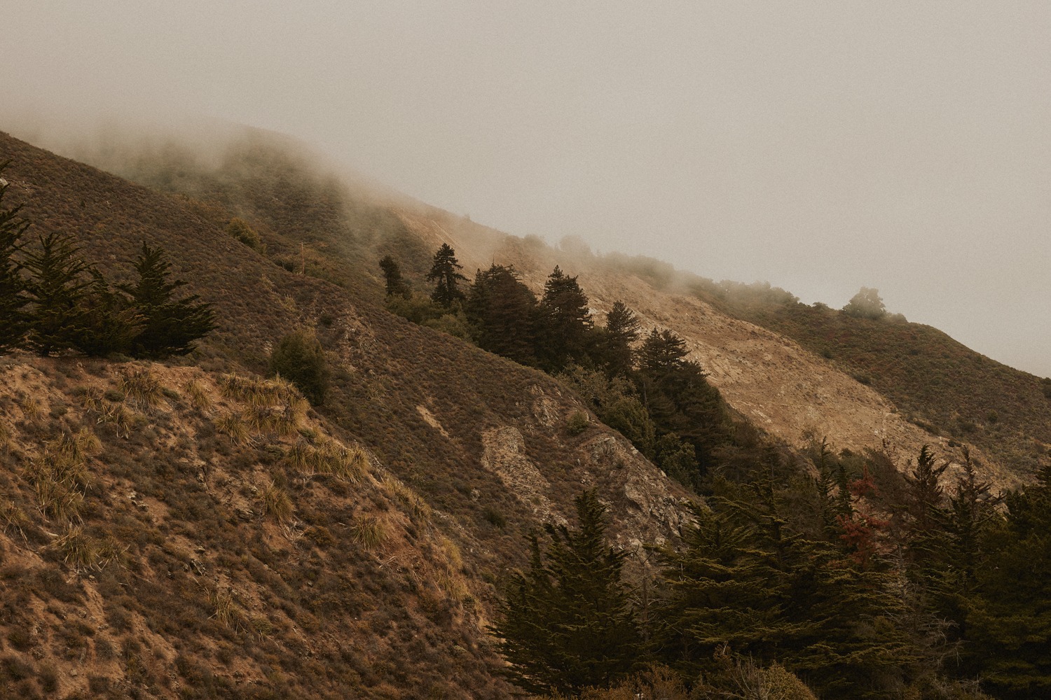20220712_Camping_Overlook_C1_3570-rt.png