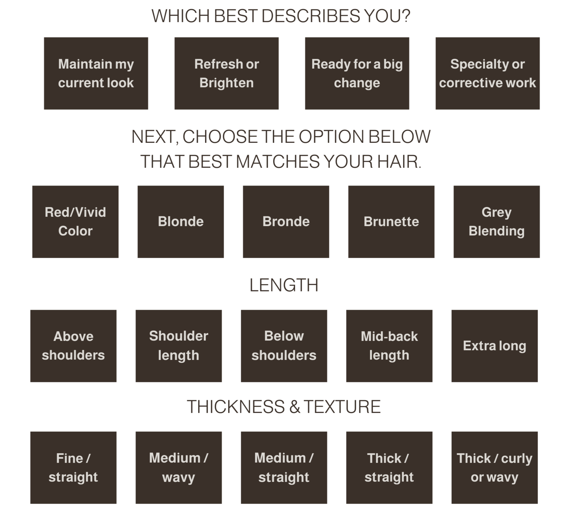 Chart titled 'Which Best Describes You?' with options for hair style and preferences. Top row: four boxes with options for hair maintenance: 'Maintain my current look,' 'Refresh or Brighten,' 'Ready for a big change,' 'Specialty or corrective work.' Middle section: options for hair color matching: 'Red/Vivid Color,' 'Blonde,' 'Bronde,' 'Brunette,' 'Grey Blending.' Below this: choices for hair length: 'Above shoulders,' 'Shoulder length,' 'Below shoulders,' 'Mid-back length,' 'Extra long.' Final section: options for hair thickness and texture: 'Fine/straight,' 'Medium/wavy,' 'Medium/straight,' 'Thick/straight,' 'Thick/curly or wavy.'