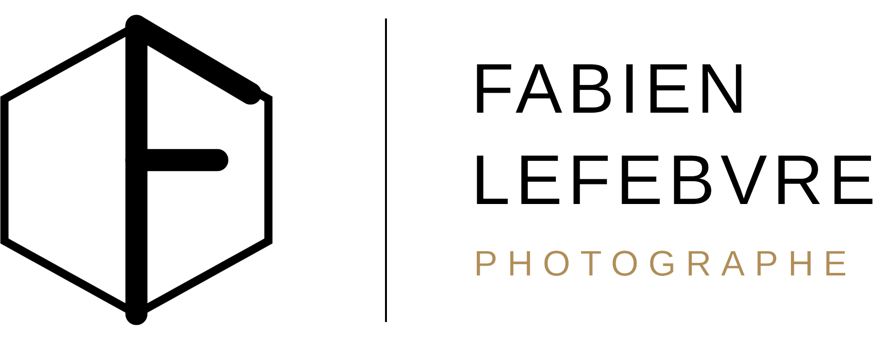 logo Fabien Lefebvre photographe en noir et doré sur fond transparent