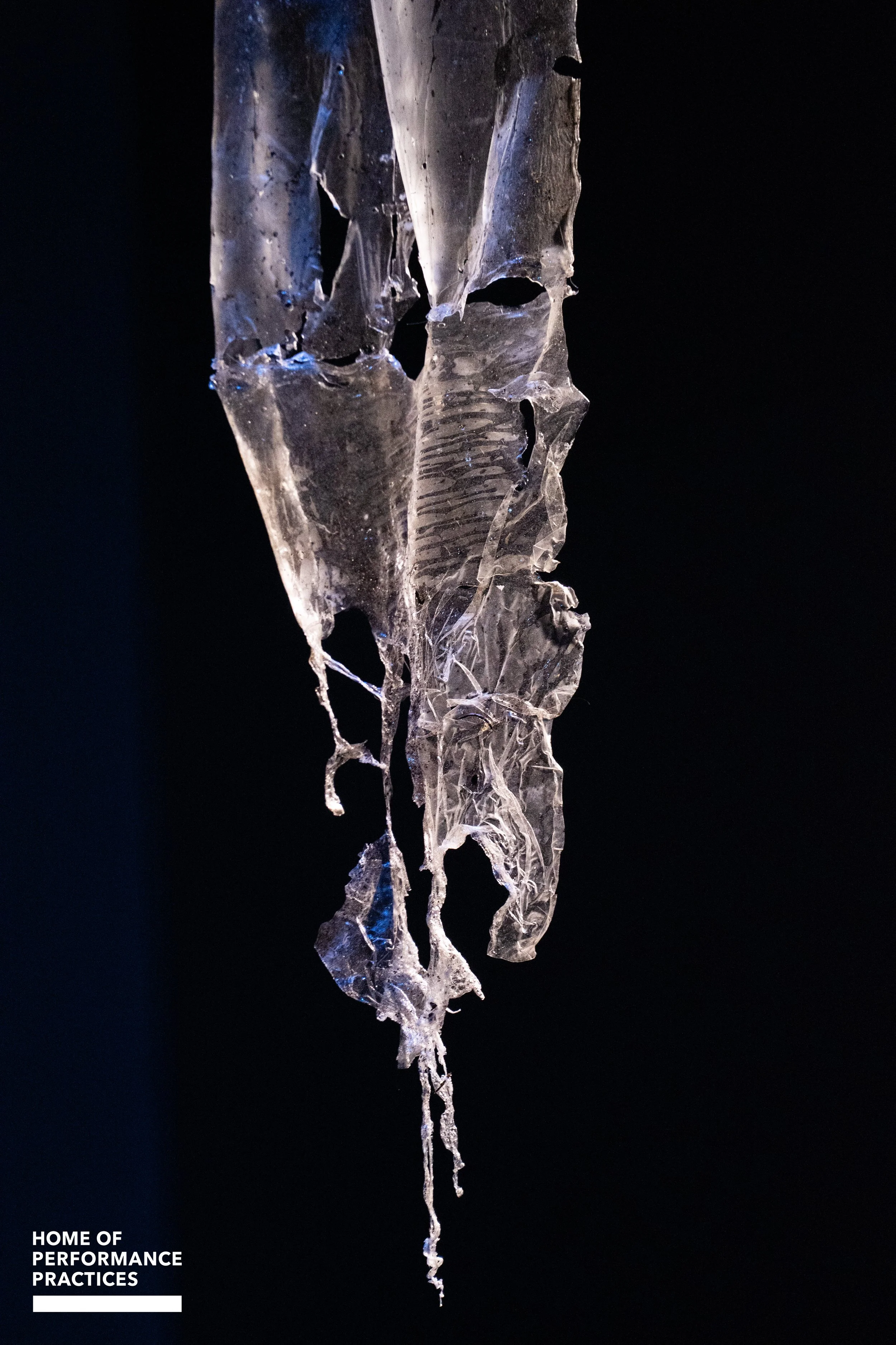 EAR_DUALTAGH_Steef Kersbergen-3.jpg