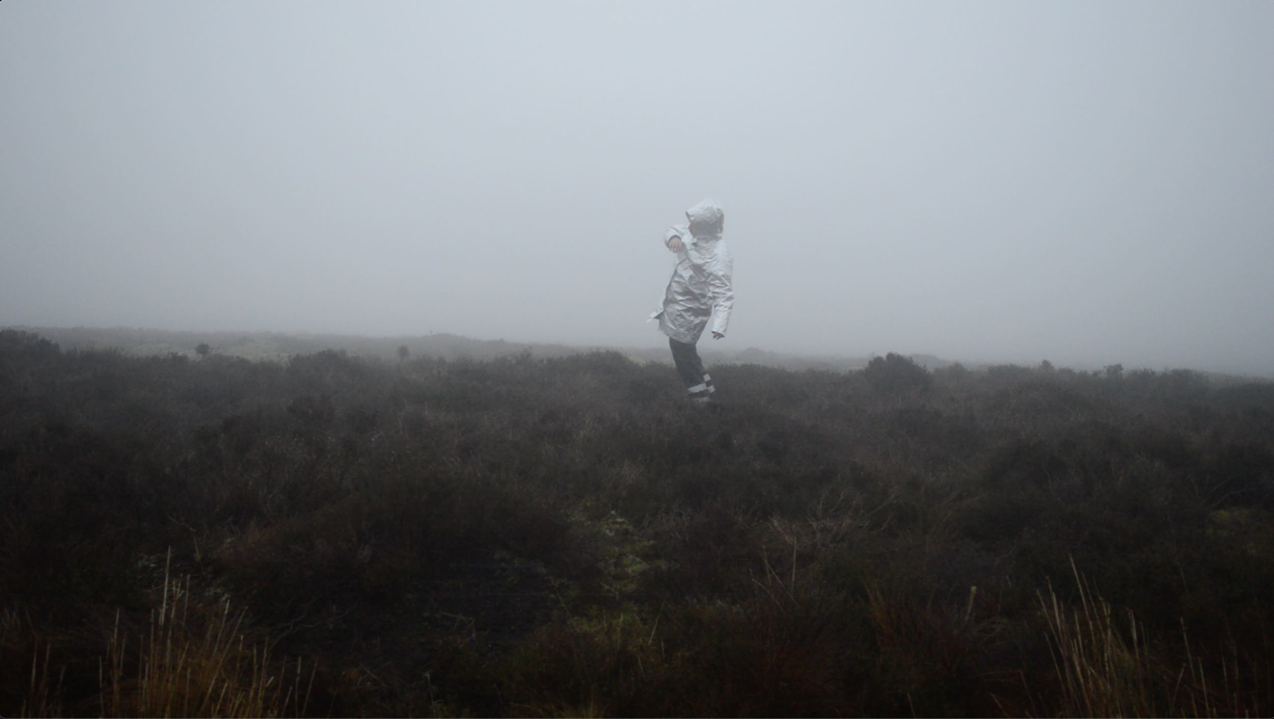 Screenshot 2026-01-10 at 13.31.22.png