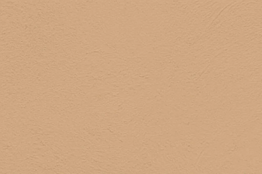 Close-up of a textured beige wall.