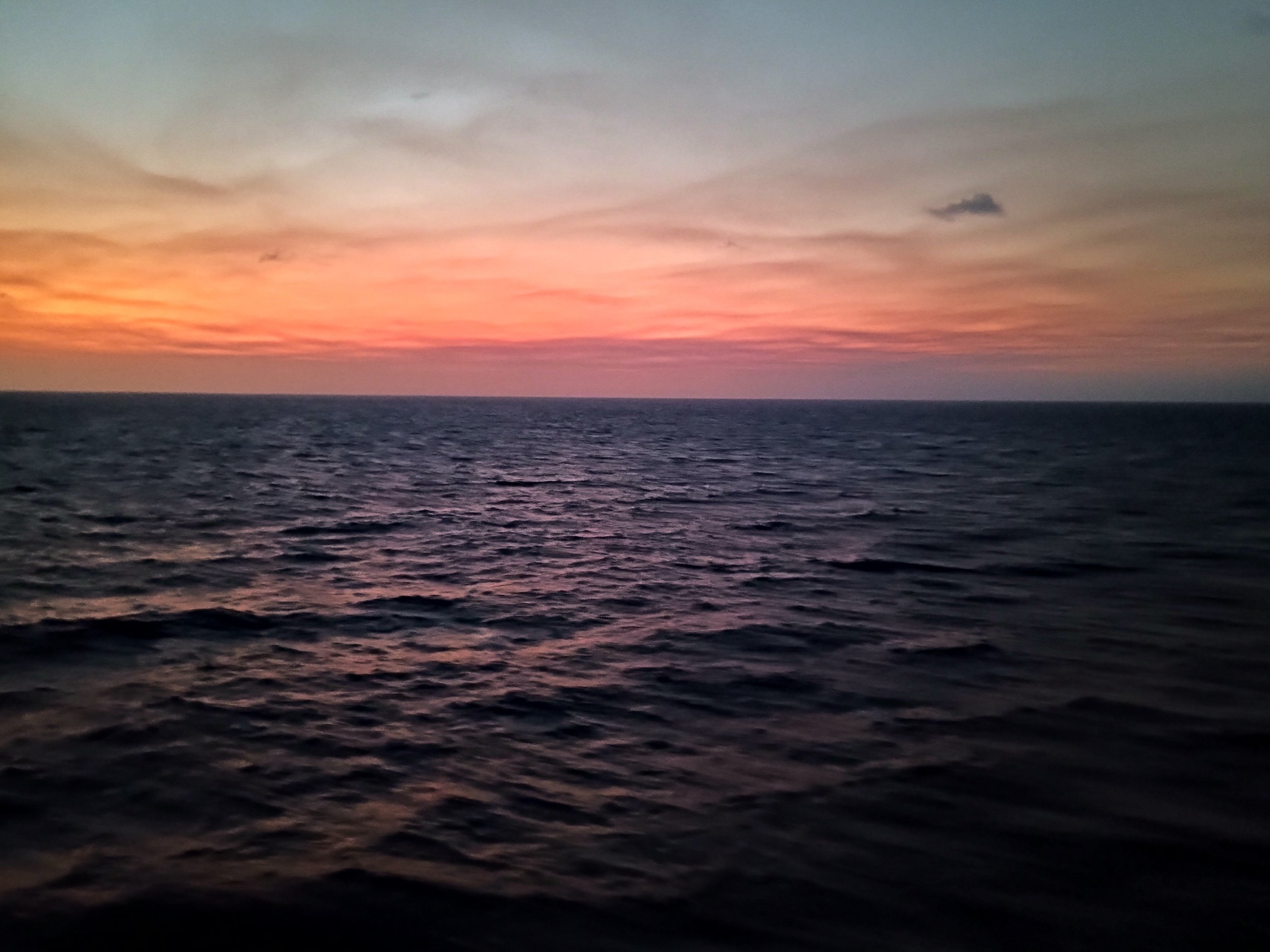IMG_20260417_055413390.jpg