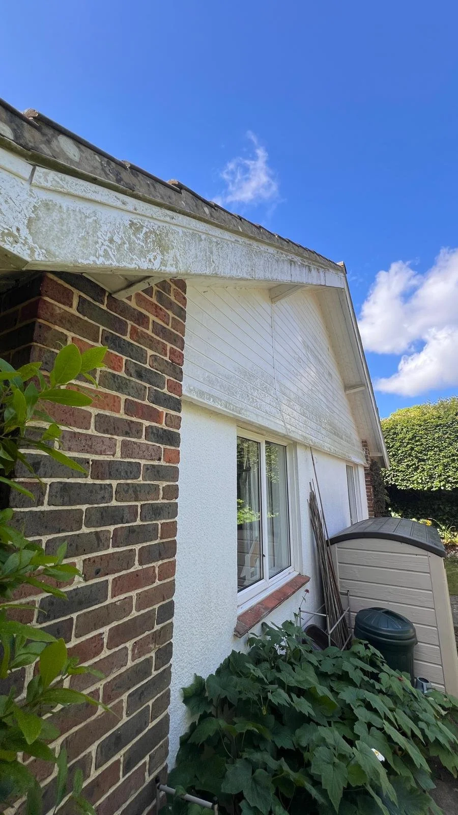 dea49f9c-65e9-4dcc-9b4d-a3bc1140ce12 2.JPG