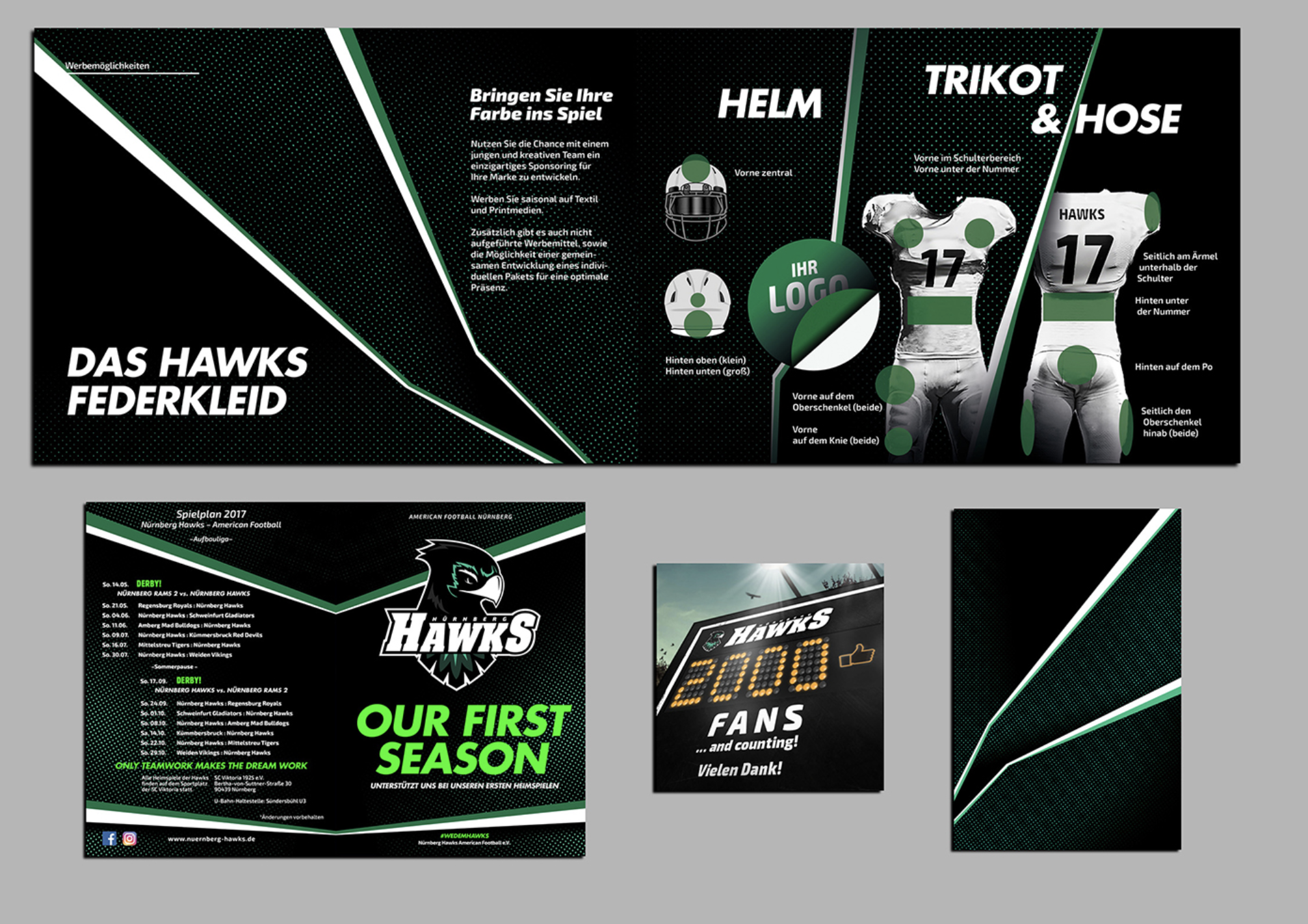 nuernberg hawk 05.png