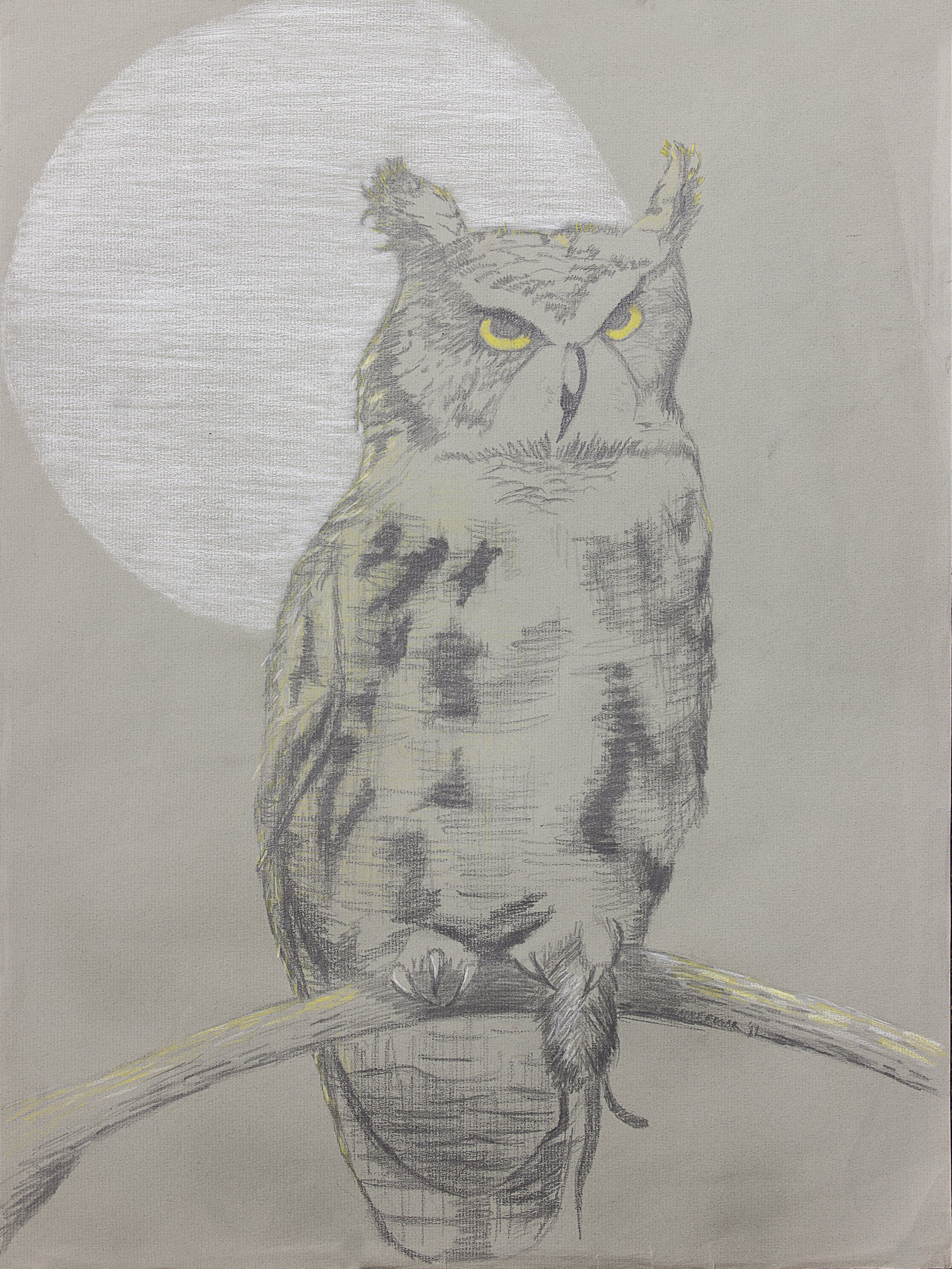 Owl in Moonlight, Pencil on Paper (1988)
Native Americans typically see Owls as harbingers of doom. Never look them directly in the eye. Some Native legends even say that they are shape shifters. Me, I have always been fascinated by them. They s