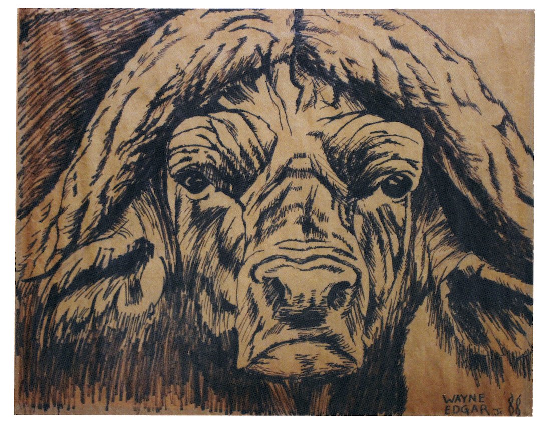 Eastern Cape Buffalo (1988)
Marker on paper
African Water Buffalo, Marker on Paper (1988) My art professor at East Central University believed I was way too hung up on details. He wanted me to express myself and be more free. He required me to do an