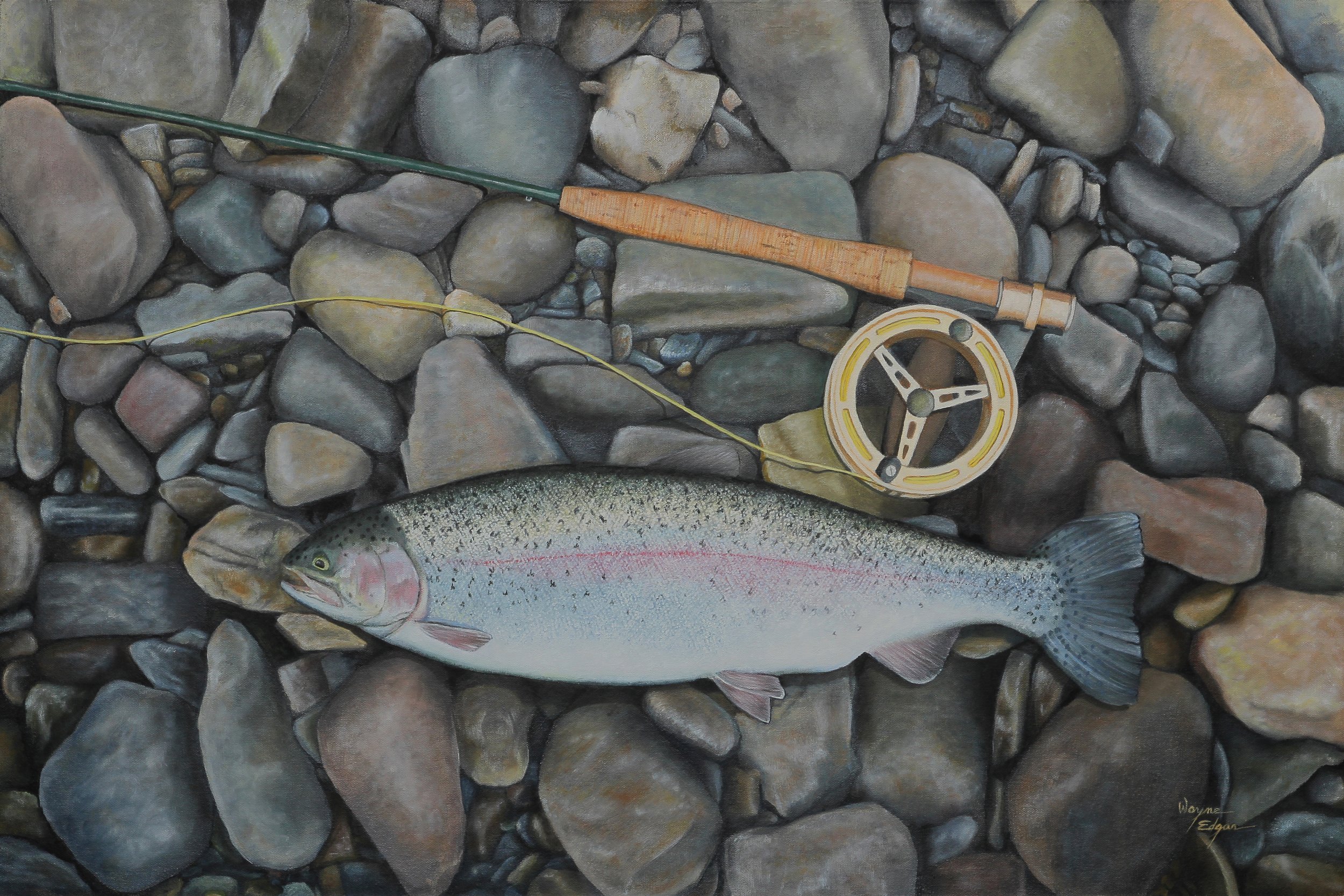 Rainbow Trout, Oil on Canvas (2016)