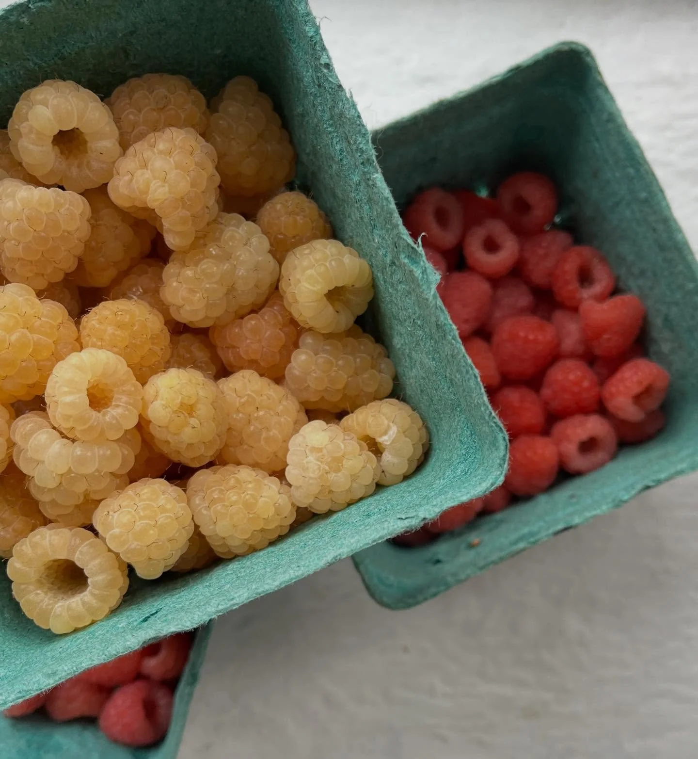 Pretty raspberries from @mudd_n_flood Flourish Farms 💛🩷
.
.
.
.
.
.
.
.
.
newmexico #taos #nmtrue #landofenchantment #foodie #visittaos #taosfoodie #taosskivalley #food #dinner #instafood #taoseats #foodandwine #bonappetit #dinnertime #instafood #r