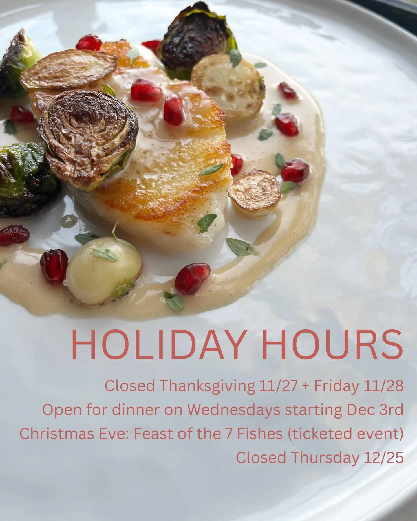 Open Wednesdays starting in December!