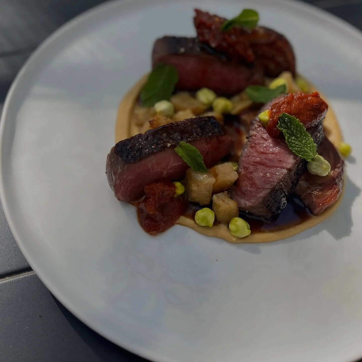 Matt Sexton lamb breast and saddle

smoked eggplant fresh garbanzo + puree, tomato jam

On tonight