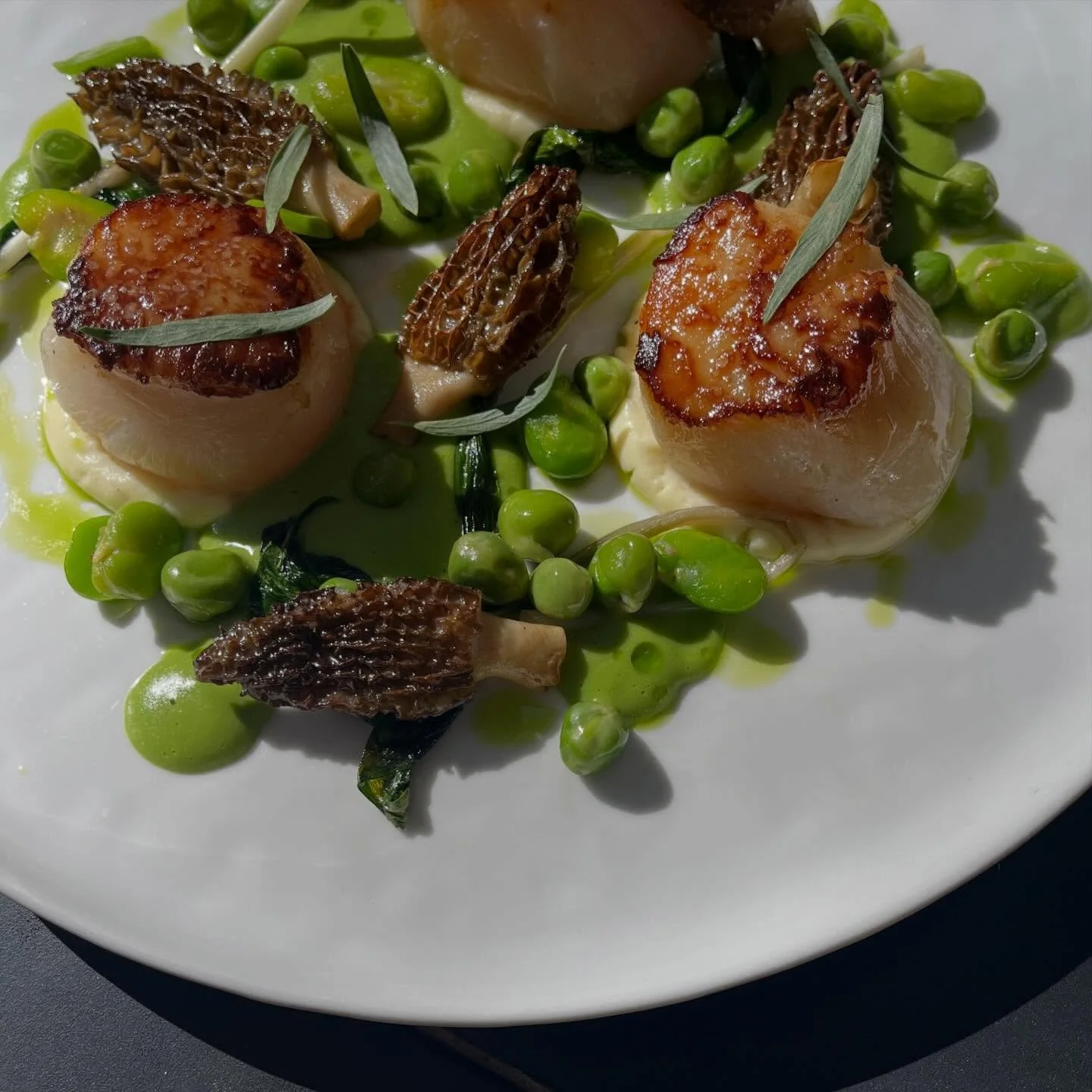 SCALLOPS

morels, ramps, peas, favas, potato 

On tonight