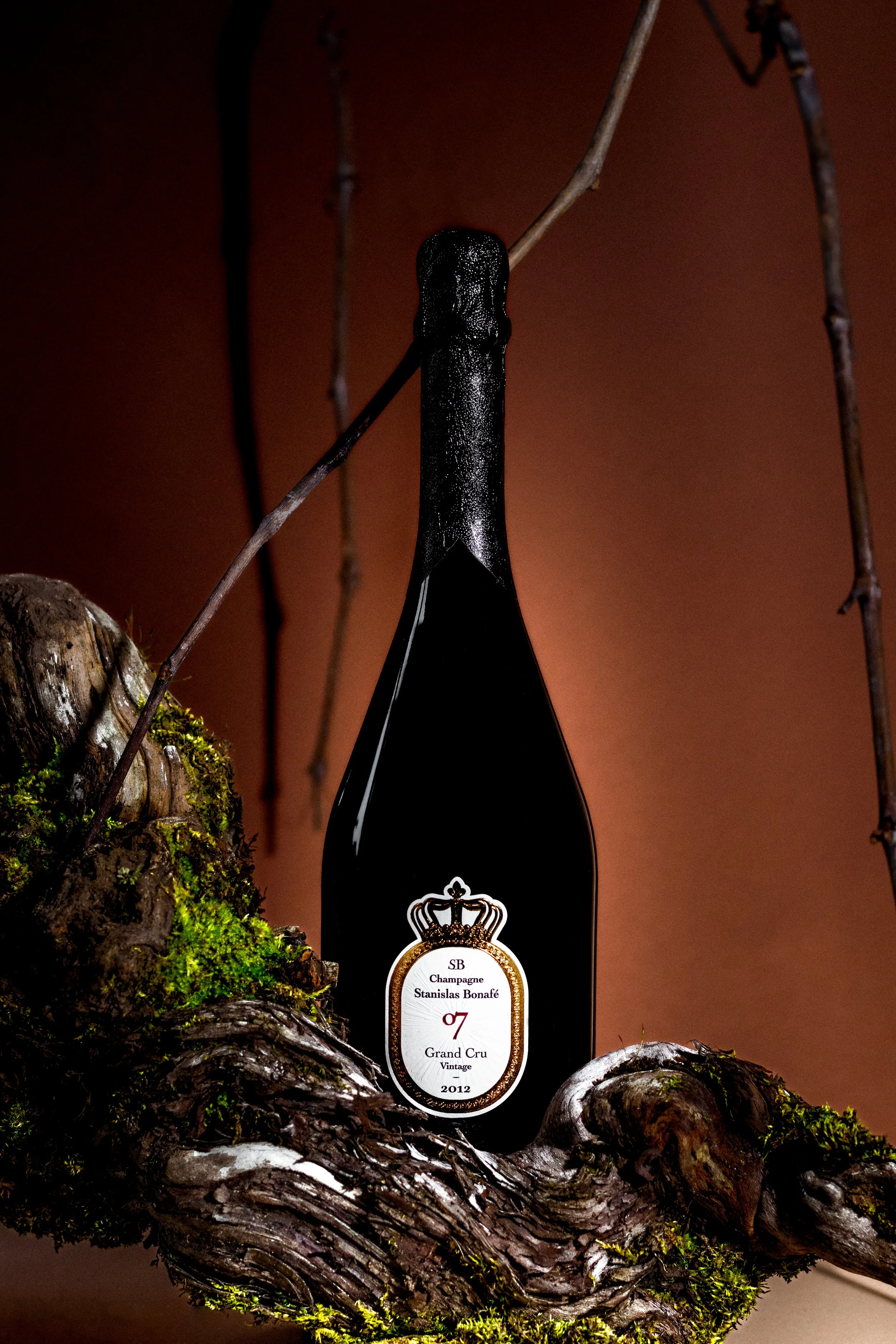 champagne stanislas bonafé 07 (c) cecile zoute (13).jpg