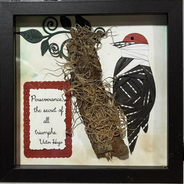 Class - A Bird for Every Season: Woodpecker in the Woods