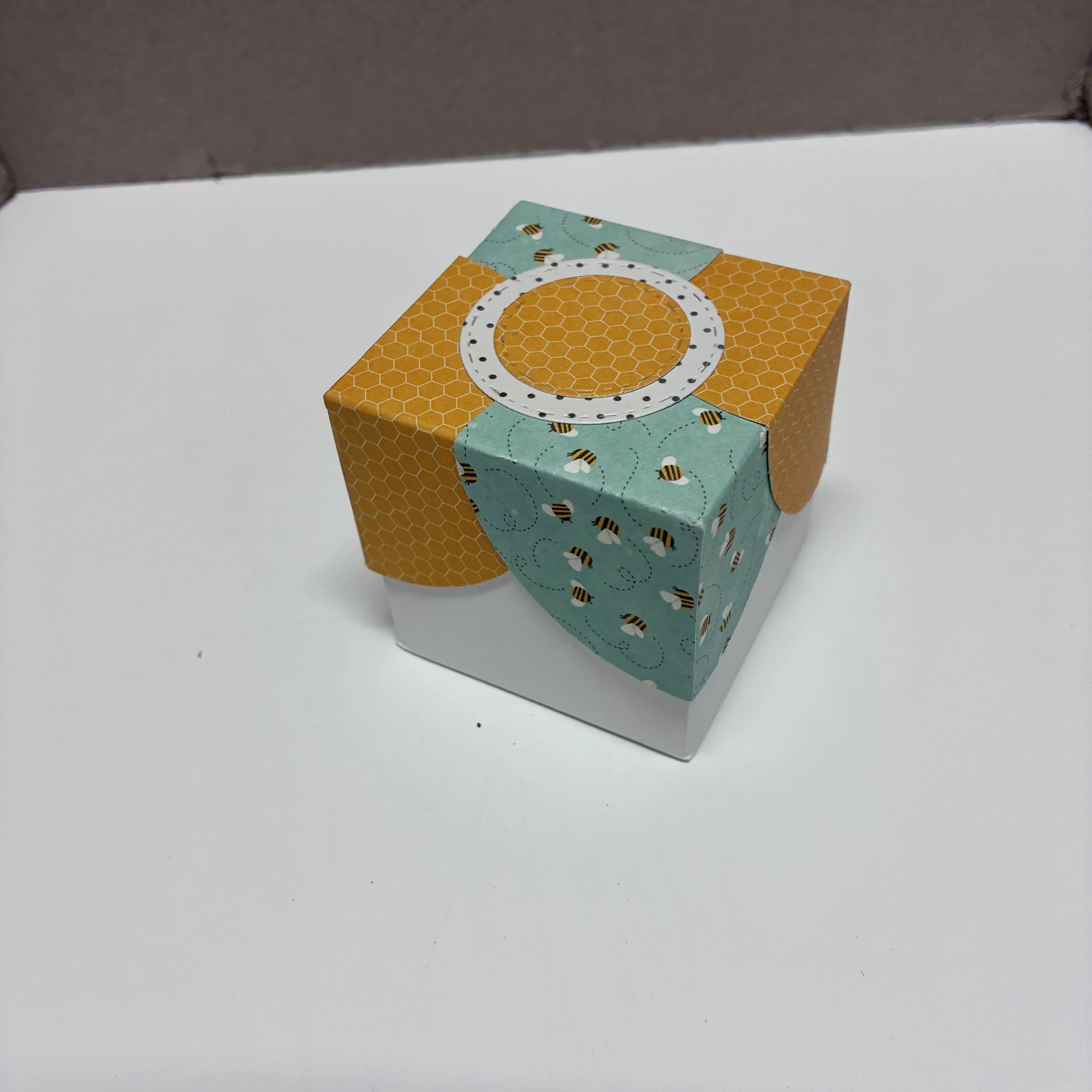 IMG_8289.jpeg