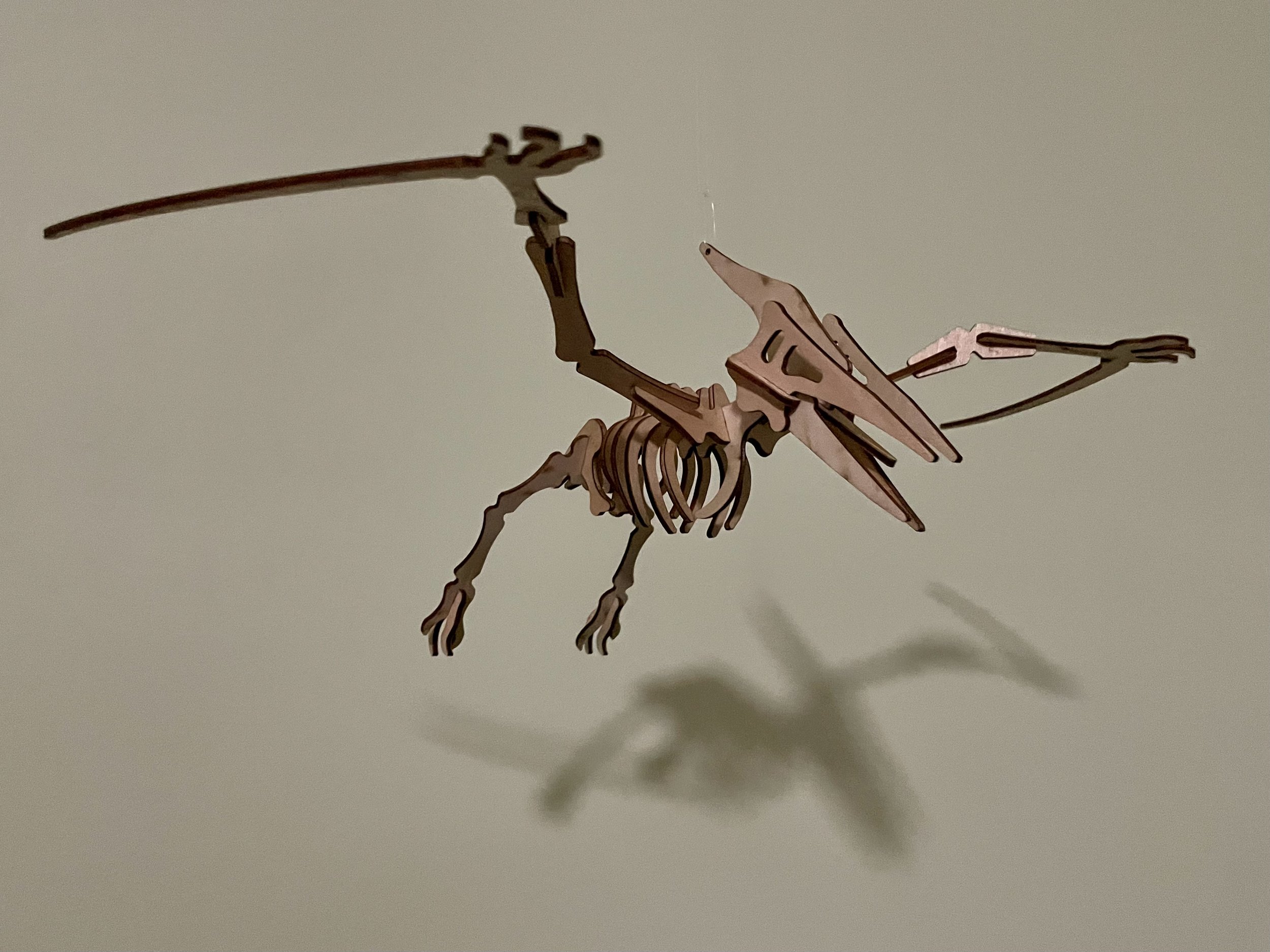 3D Puzzle-Pterodactyl.jpeg