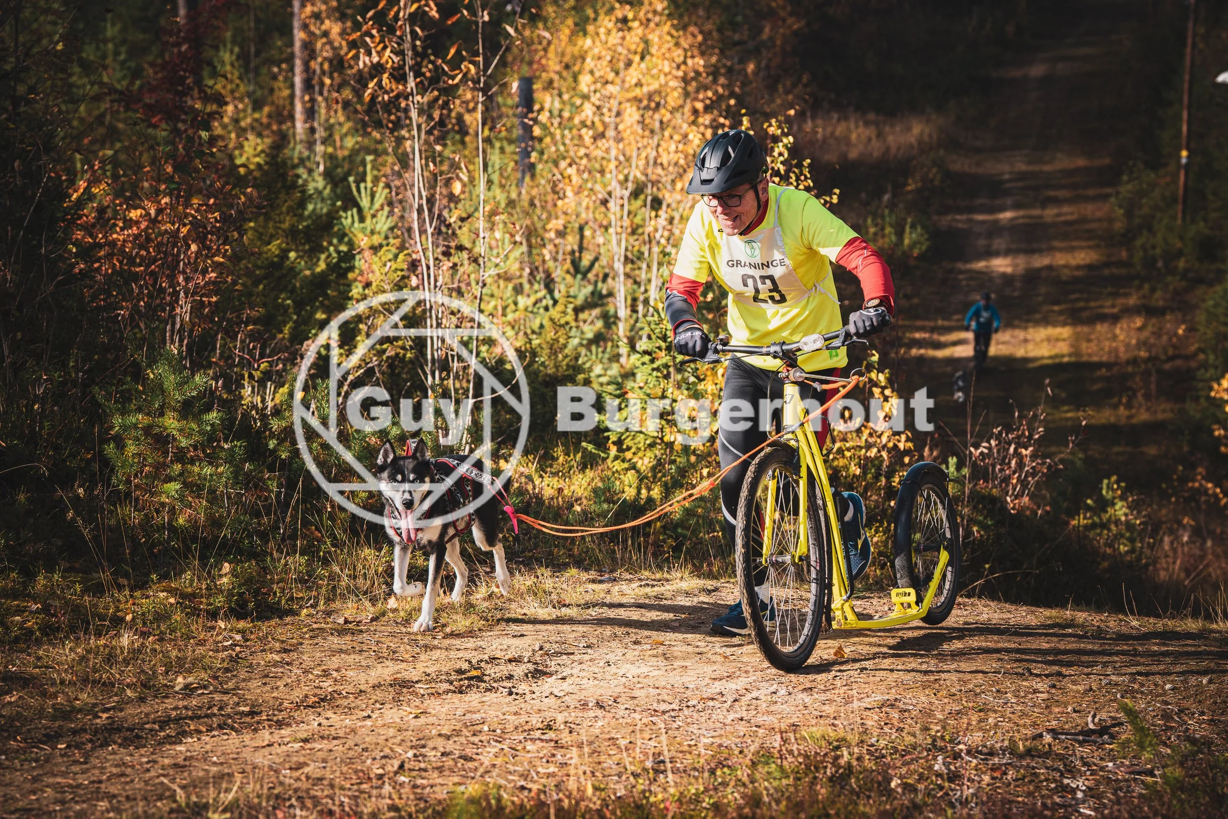 23-3