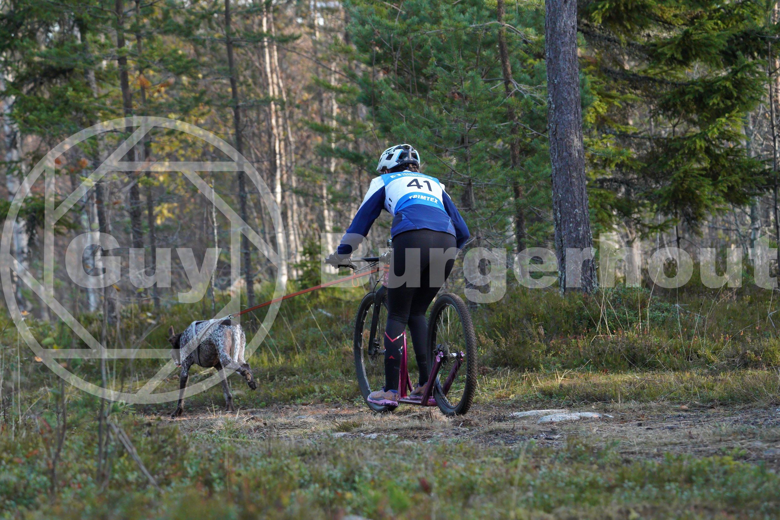 41-3