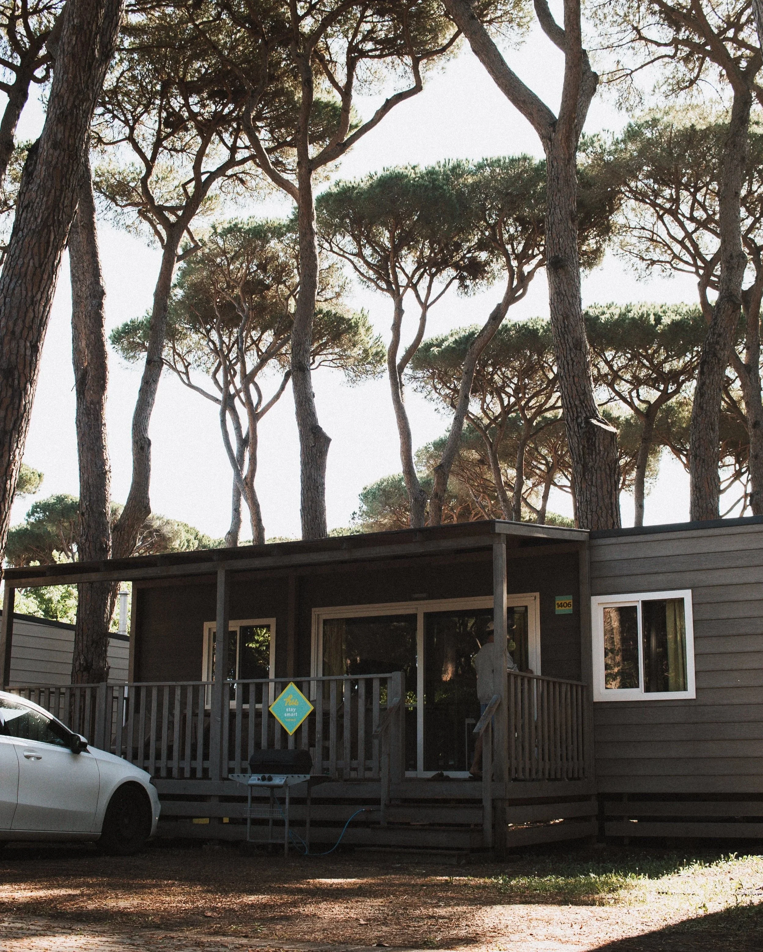 Our bungalow at hu Park Albatros Village surrounded by tall pine trees in Tuscany