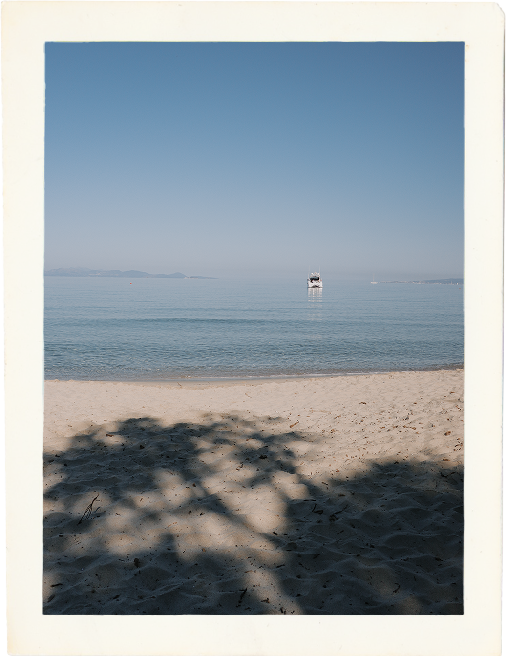 Palm tree shadows on the sandy beach of the Costa degli Etruschi in Tuscany
