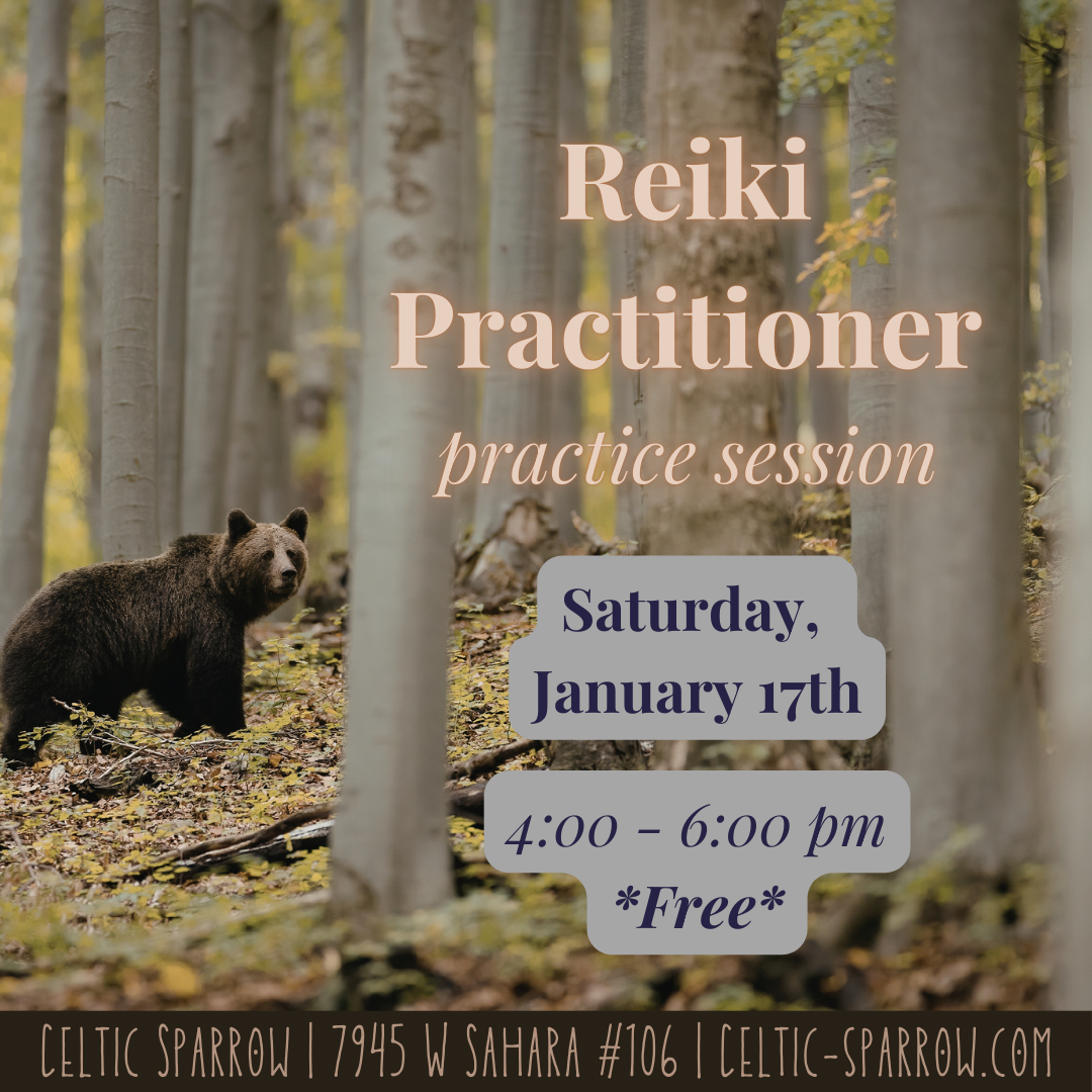 Reiki Practitioner Practice Class