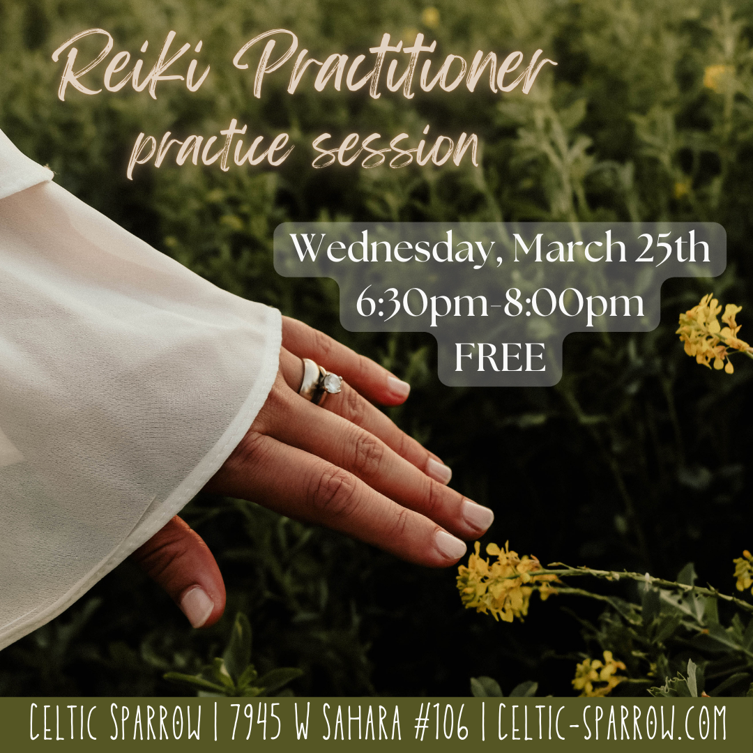 Reiki Practitioner Practice Session