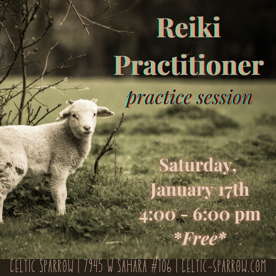 Reiki Practitioner Practice Session