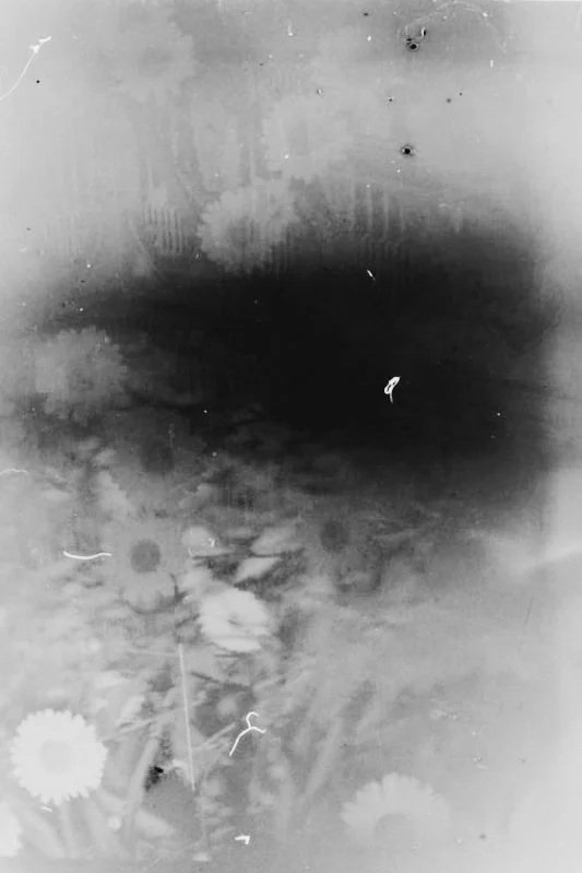 c258ded2-1f6d-4868-8f00-a944f245bcb1.jpg