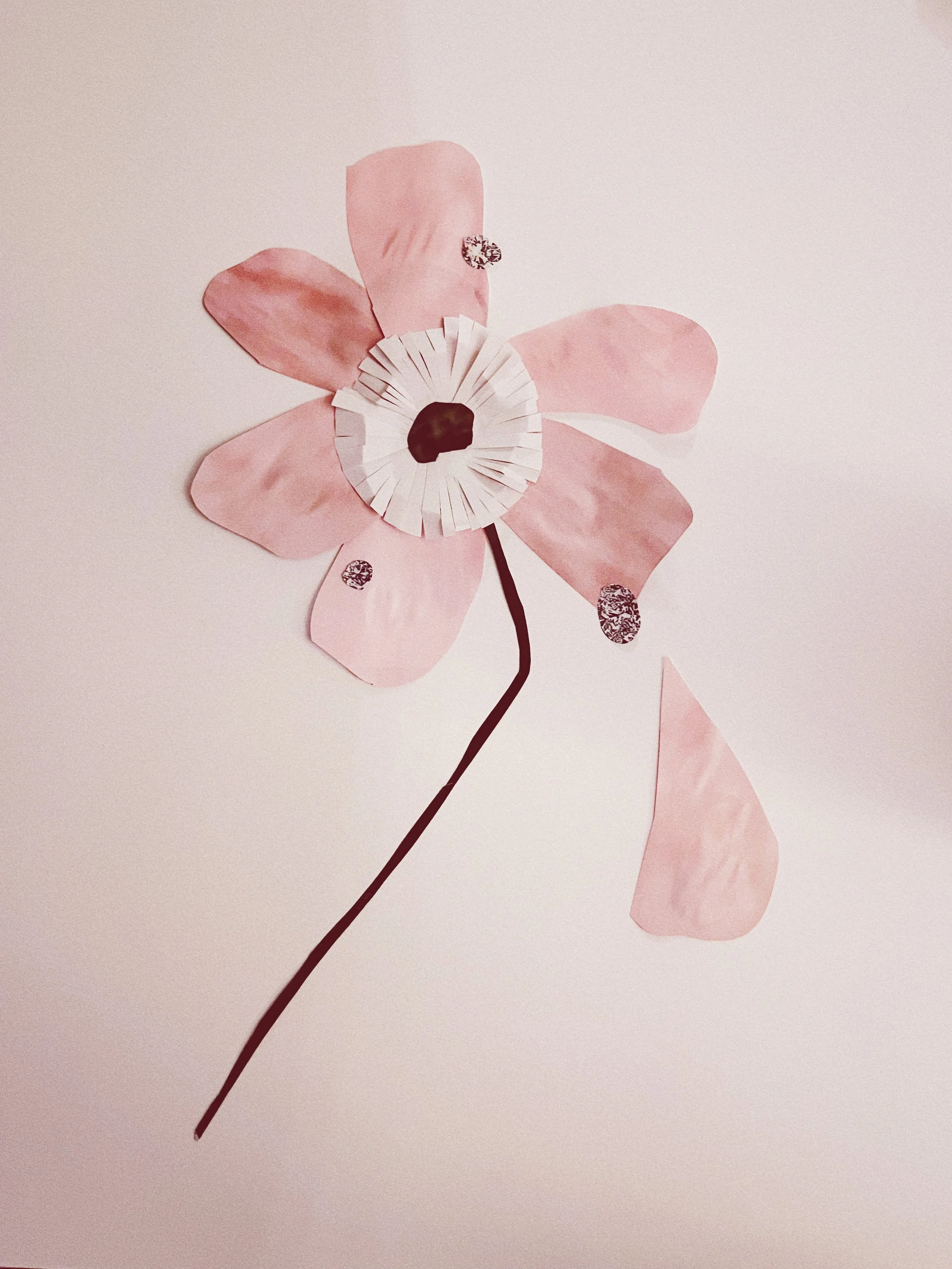 IMG_4955_VSCO.JPG
