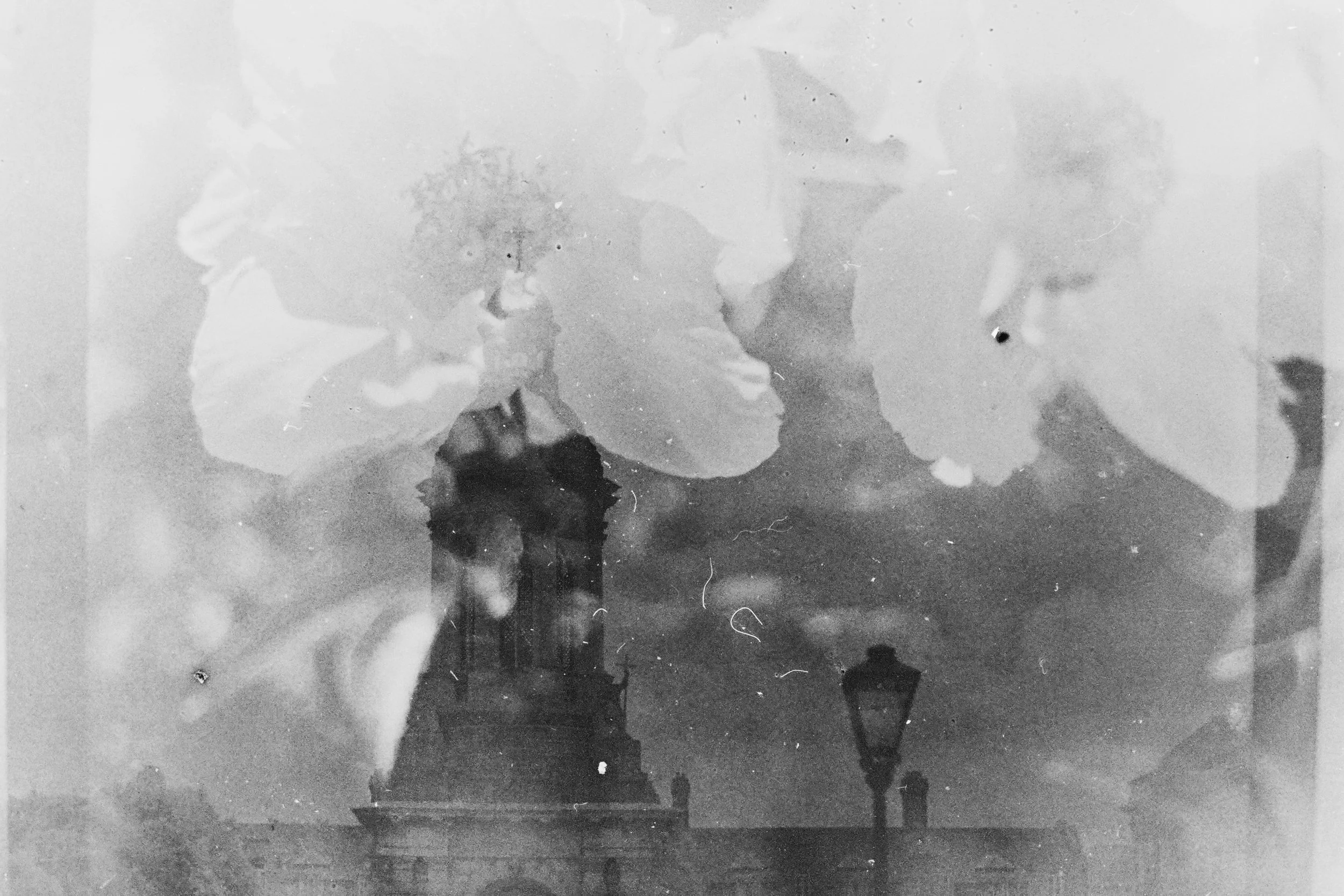 PICT0062-VSCO.jpeg