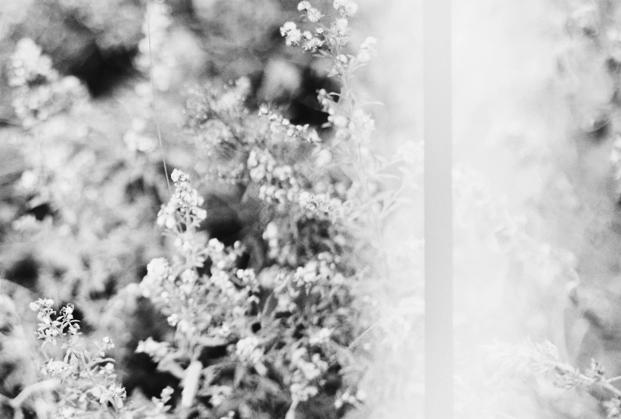 r1-04632-006a-VSCO (1).jpeg