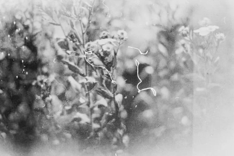 4053a68b-337d-4eea-b26f-f80295626d35.jpeg